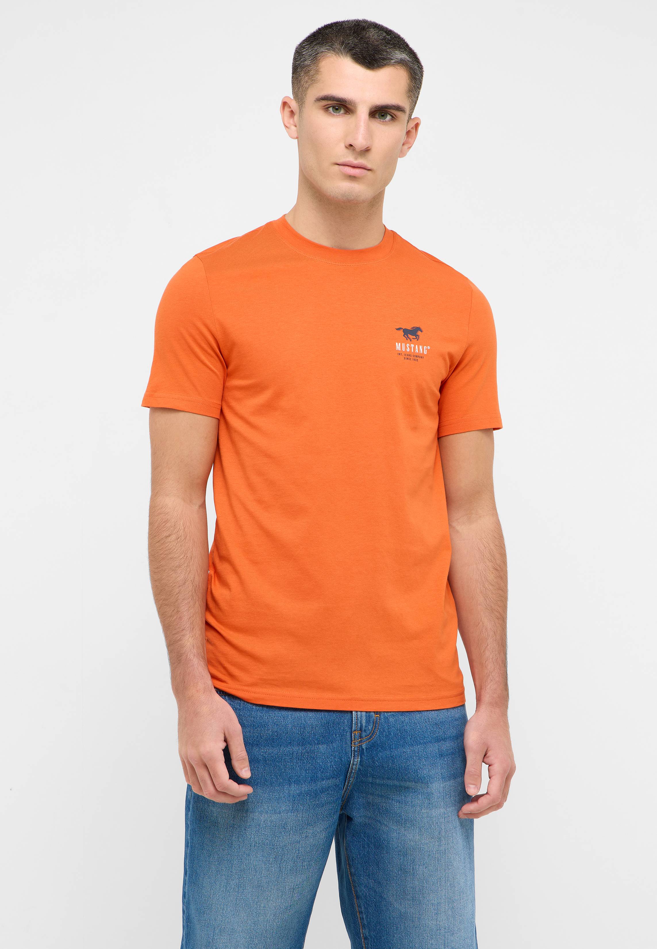 T-shirt, Hemd, Erwachsener, Mann, Person