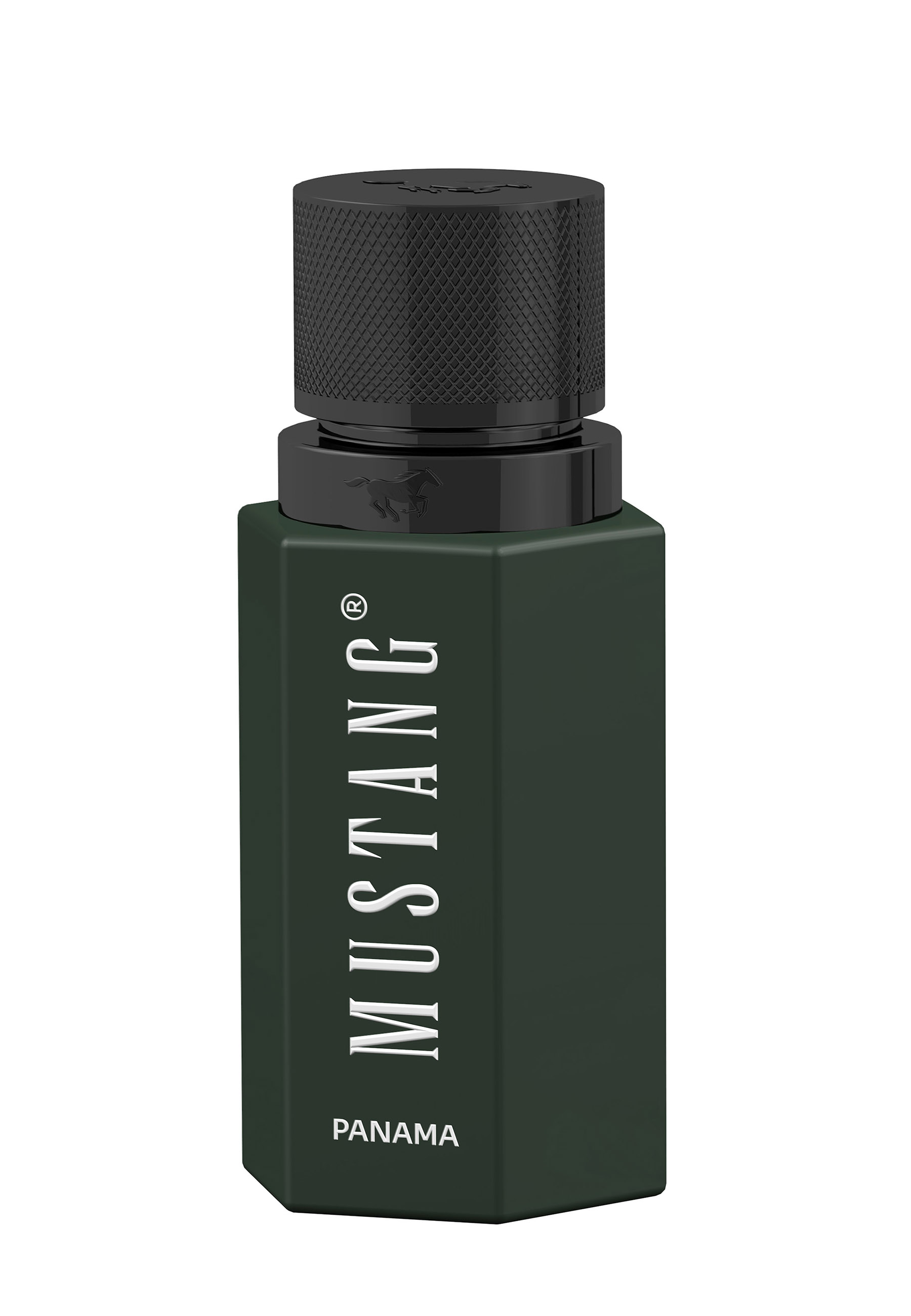 Parfum WILD HORIZON PANAMA for him EdP 50ml