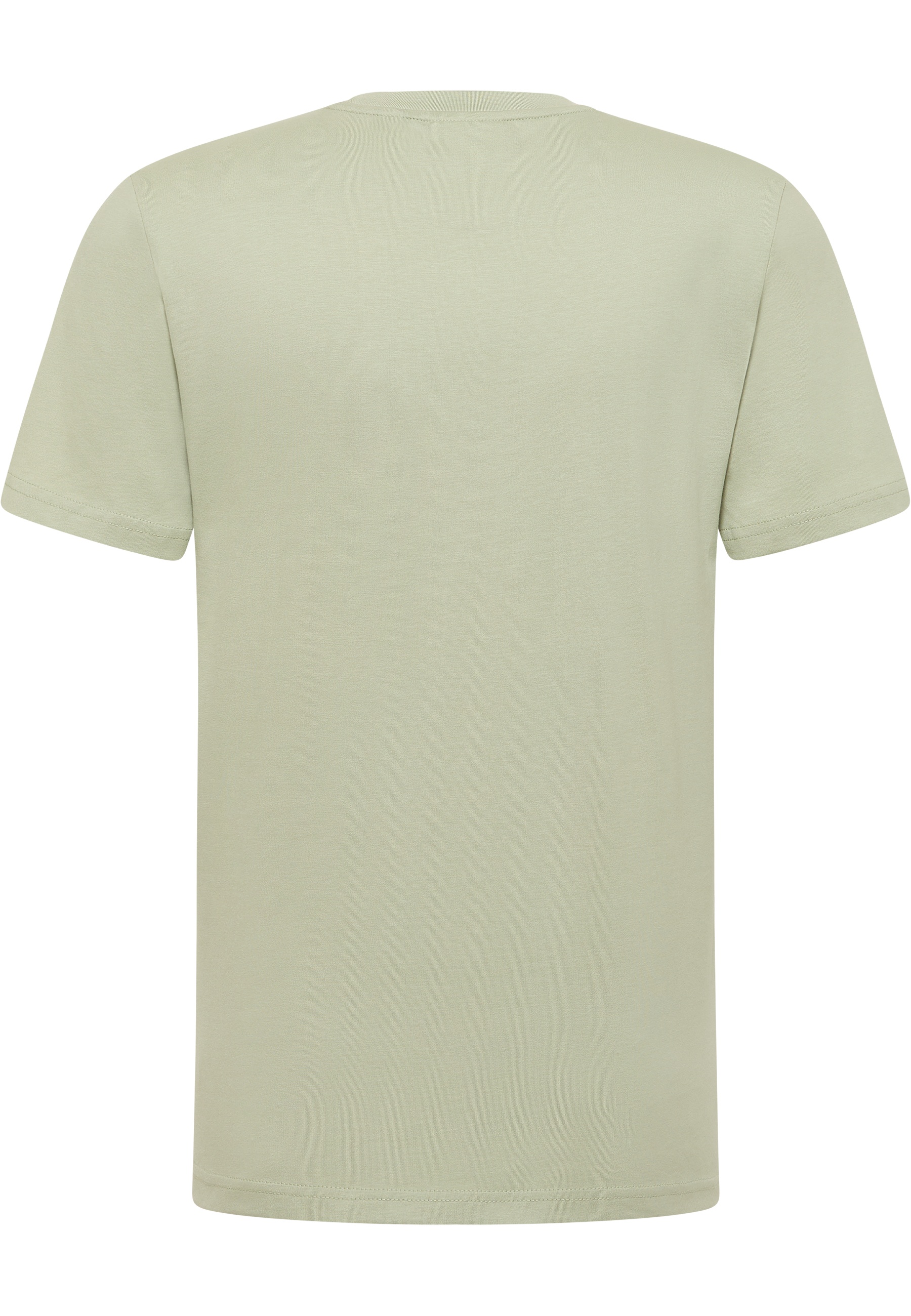 t-shirt, kurzarm, unifarben, weich, hellgrün