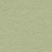 hellgrün-6273