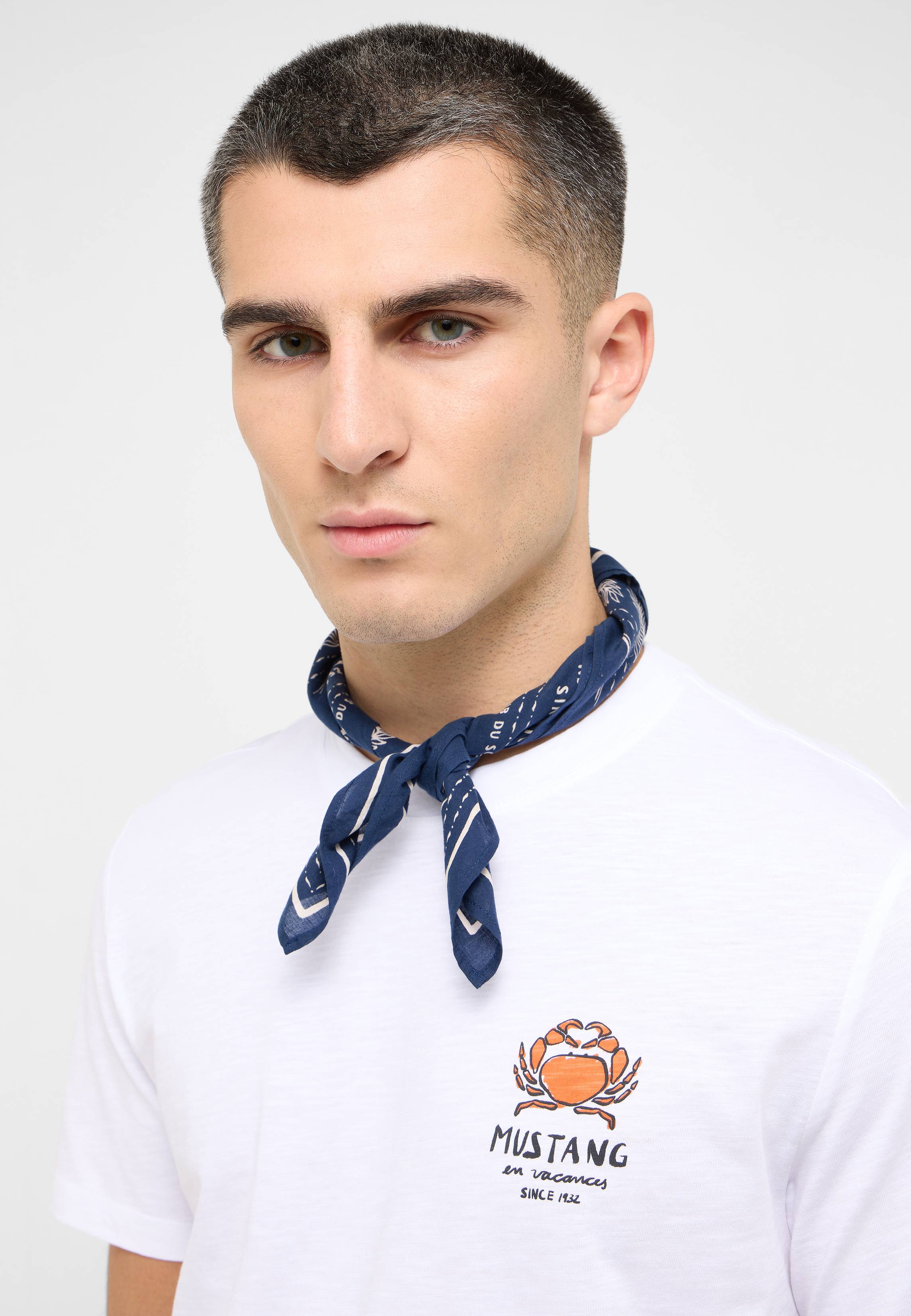 Zubehor, Formelle Kleidung, Krawatte, Halstuch, T-shirt