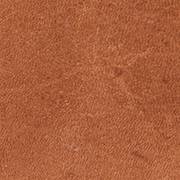 cognac-TL31