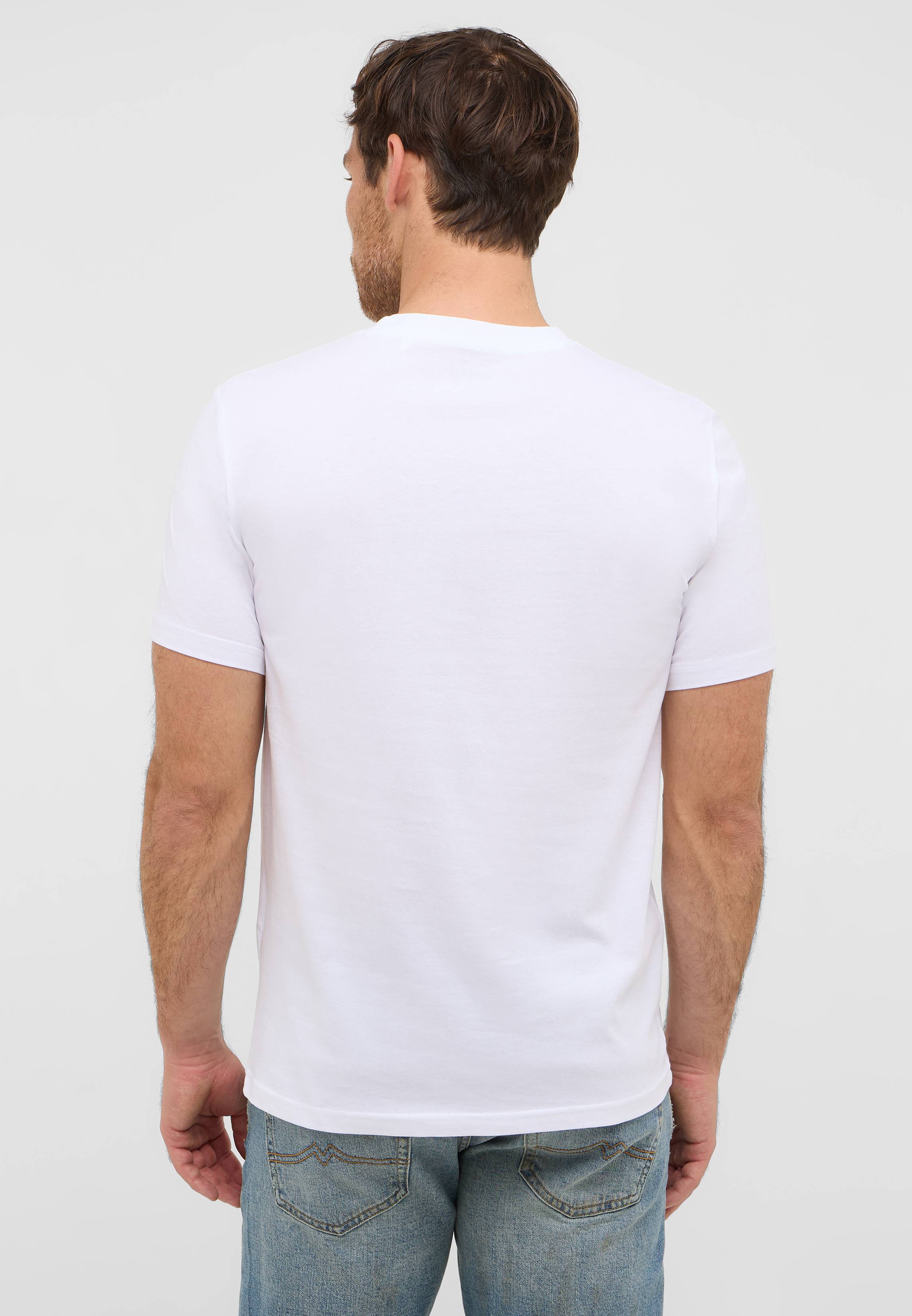 T-shirt, Erwachsener, Männlich, Mann, Person