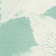 Blatt, Pflanze, Kunst, Malerei