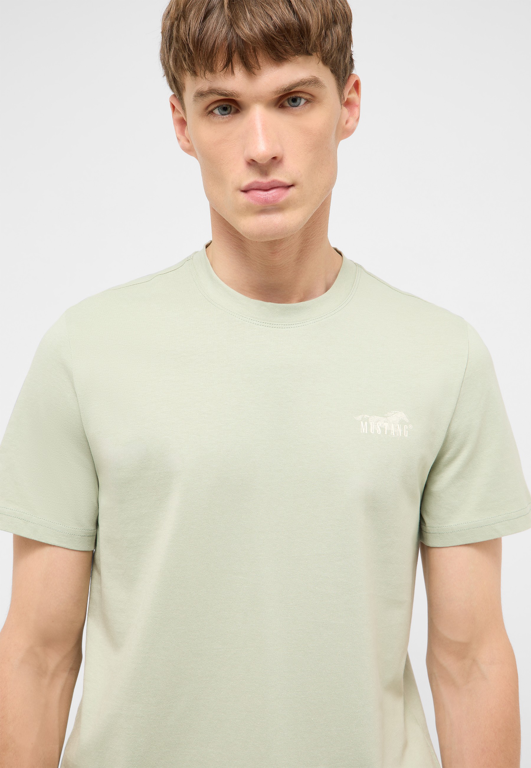 t-shirt, Kragen: Rundhals, Kurzarm, hellgrün, kleines Logo