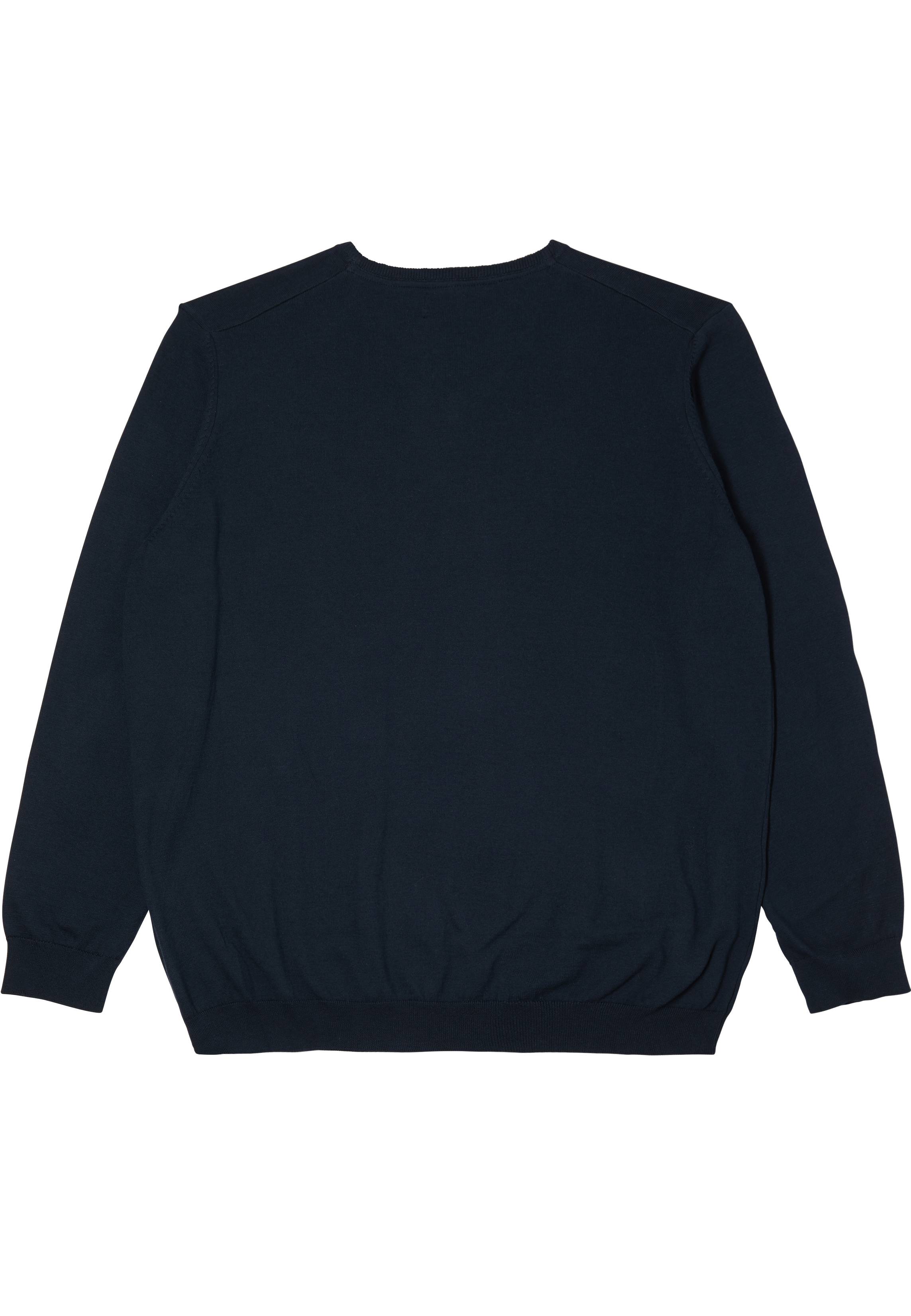 Langarmpullover Basic V-Neck Jumper