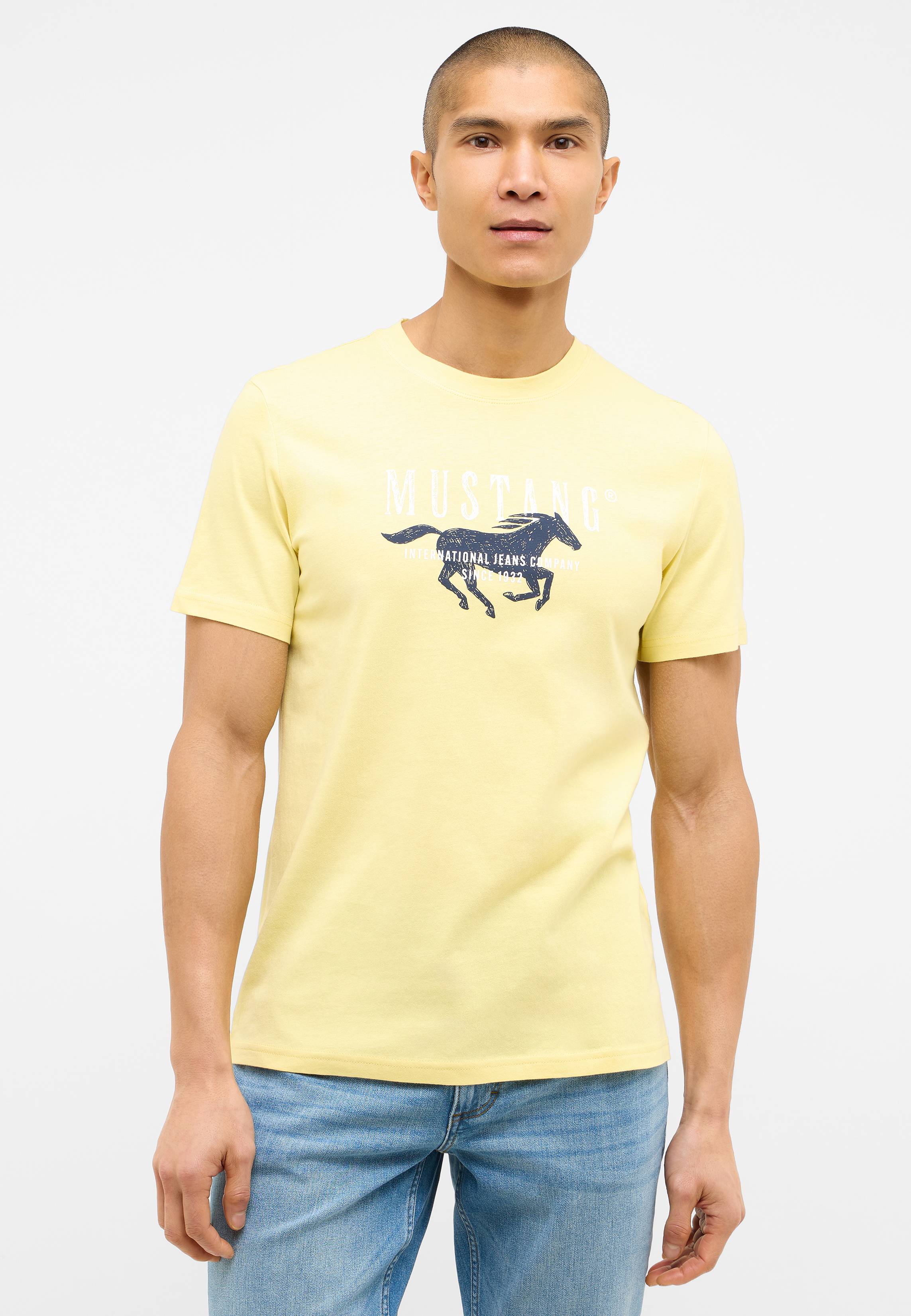 T-shirt, Hemd, Erwachsener, Mann, Person