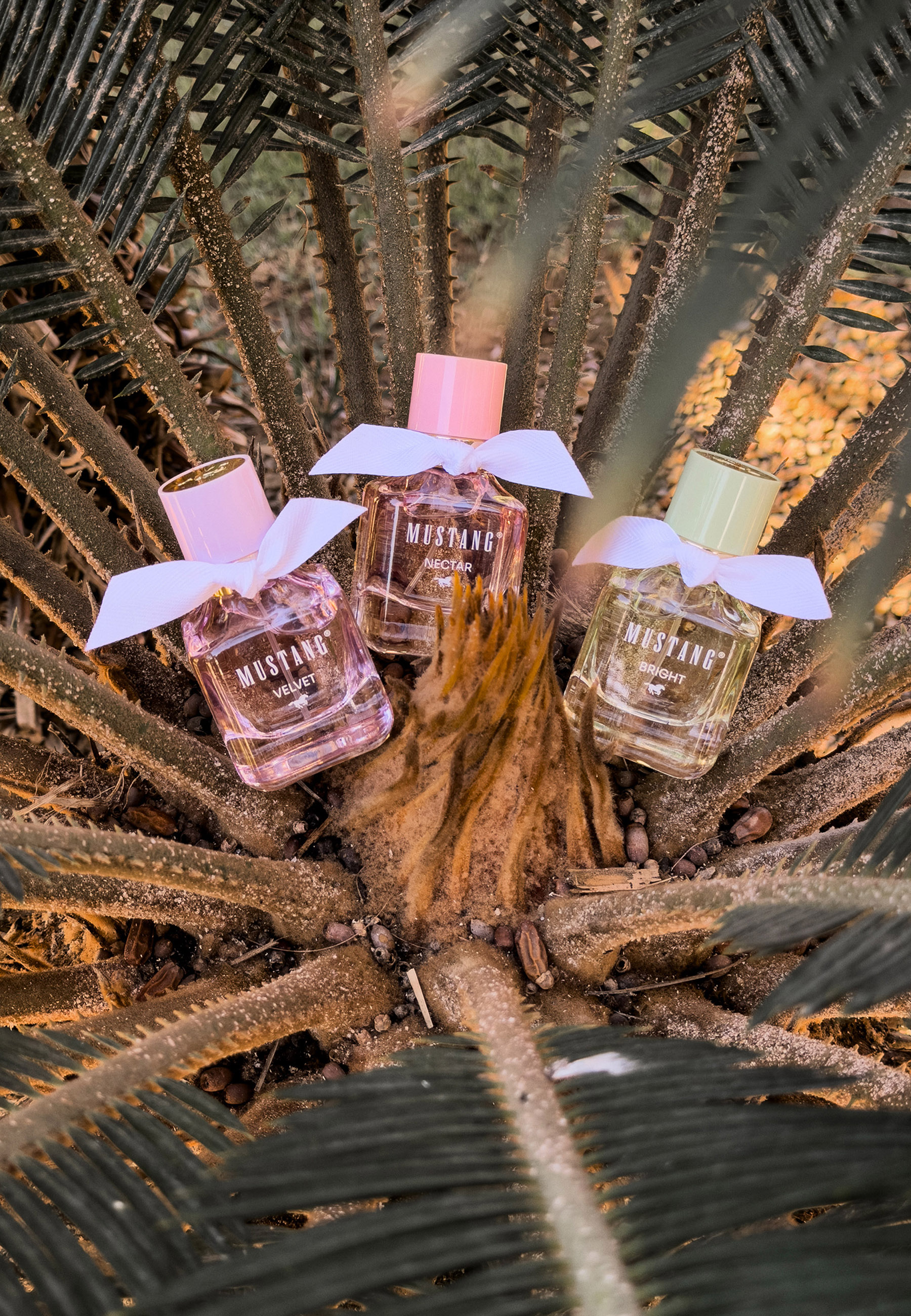 parfüm, duft, flasche, gläser, rose?