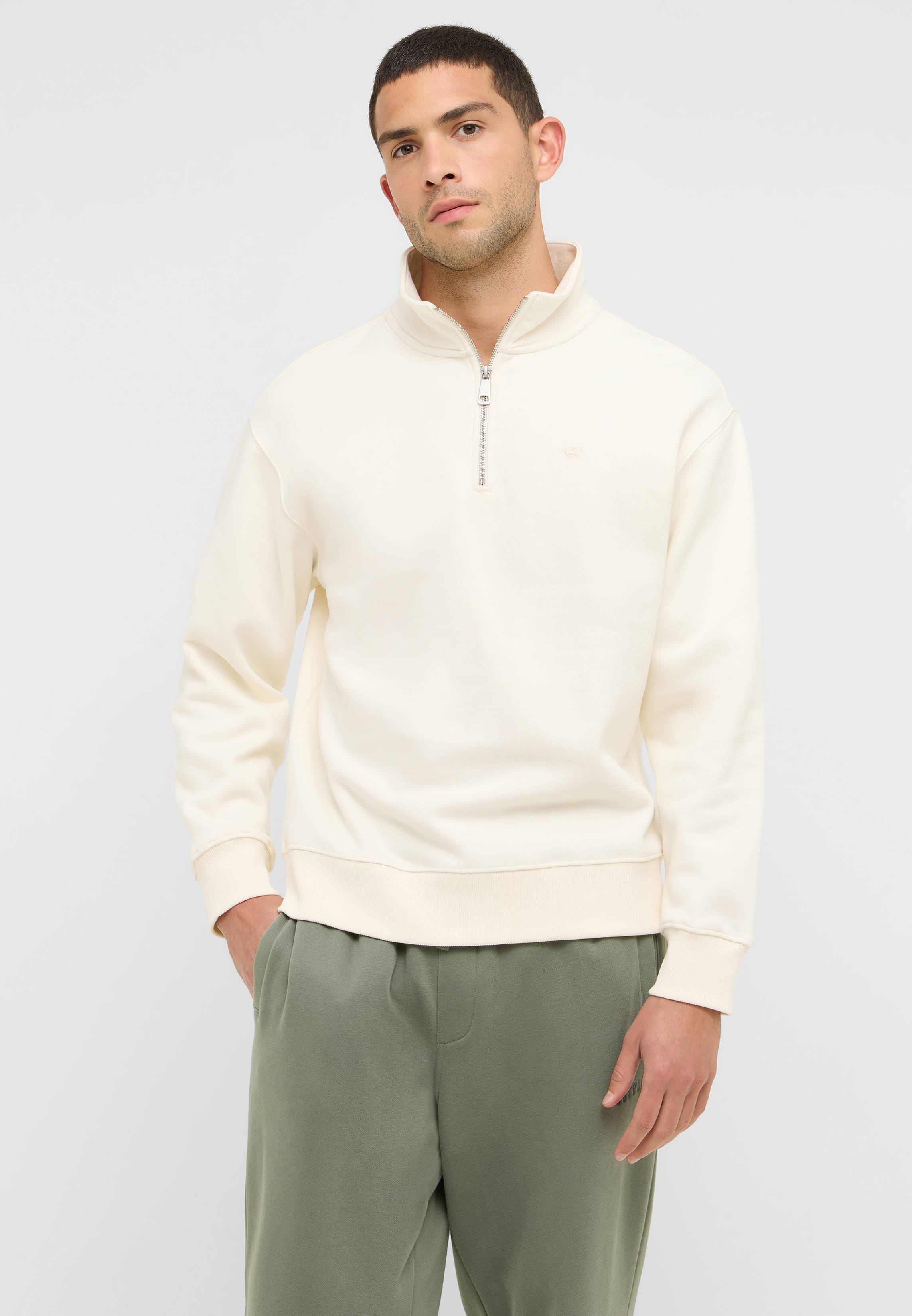 Pulli, Sweatshirt, Erwachsener, Mann, Person