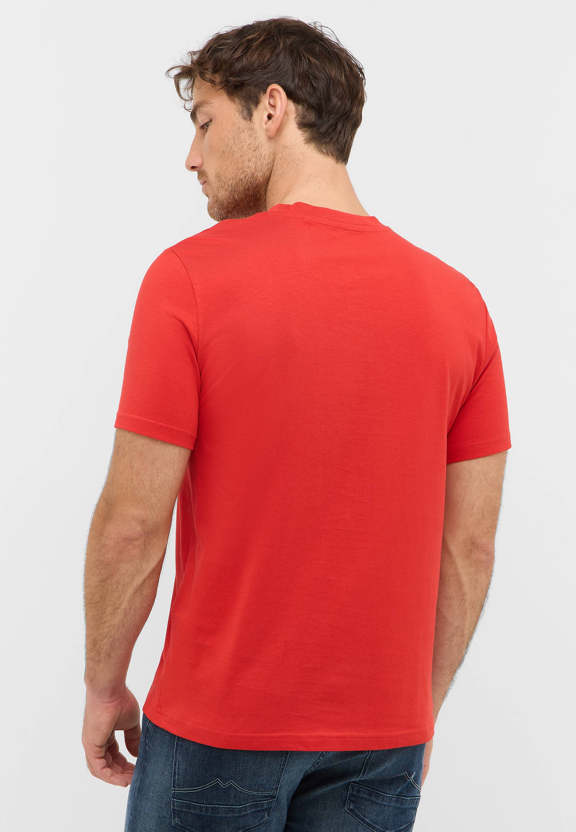 T-shirt, Erwachsener, Männlich, Mann, Person