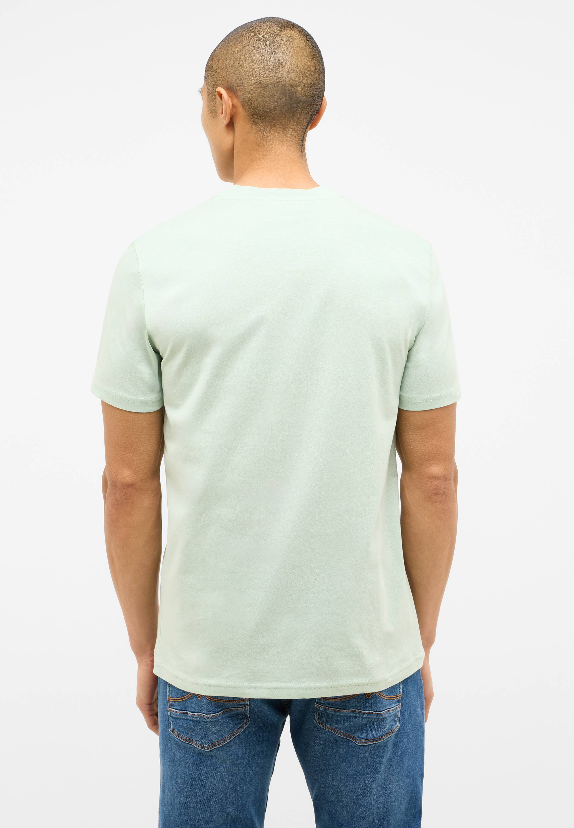 T-shirt, Erwachsener, Männlich, Mann, Person