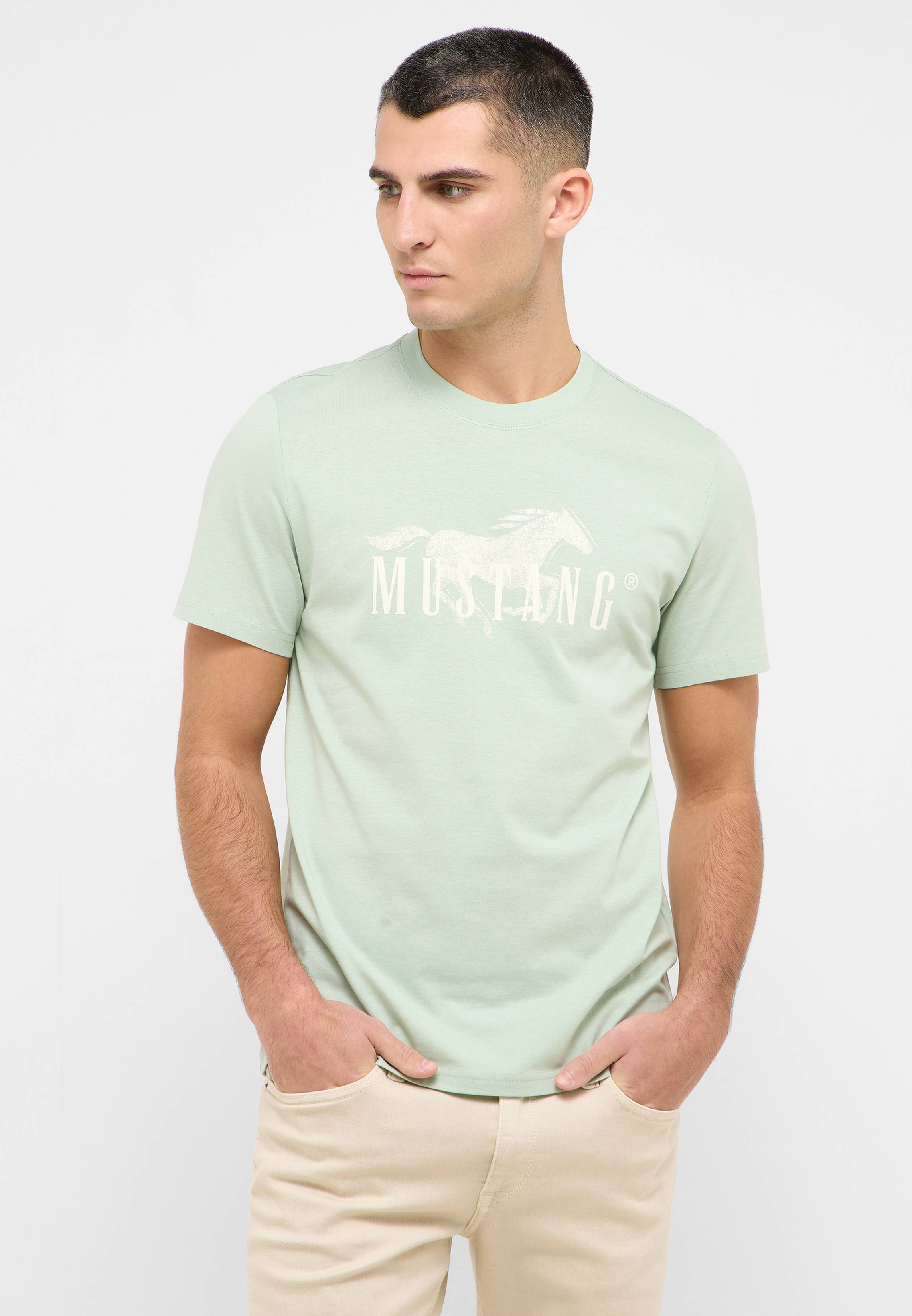 T-shirt, Hemd, Erwachsener, Mann, Person