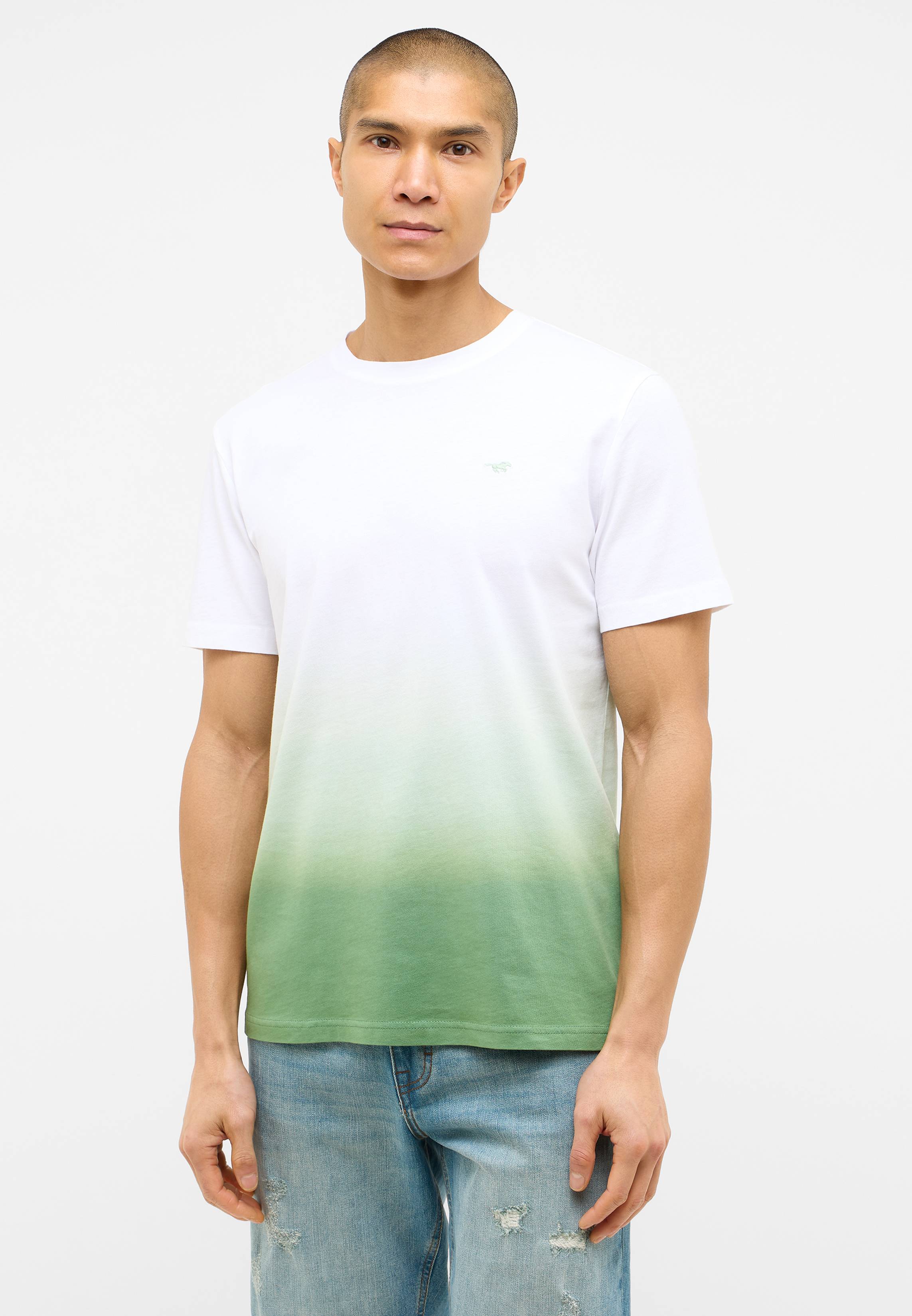 T-shirt, Erwachsener, Männlich, Mann, Person