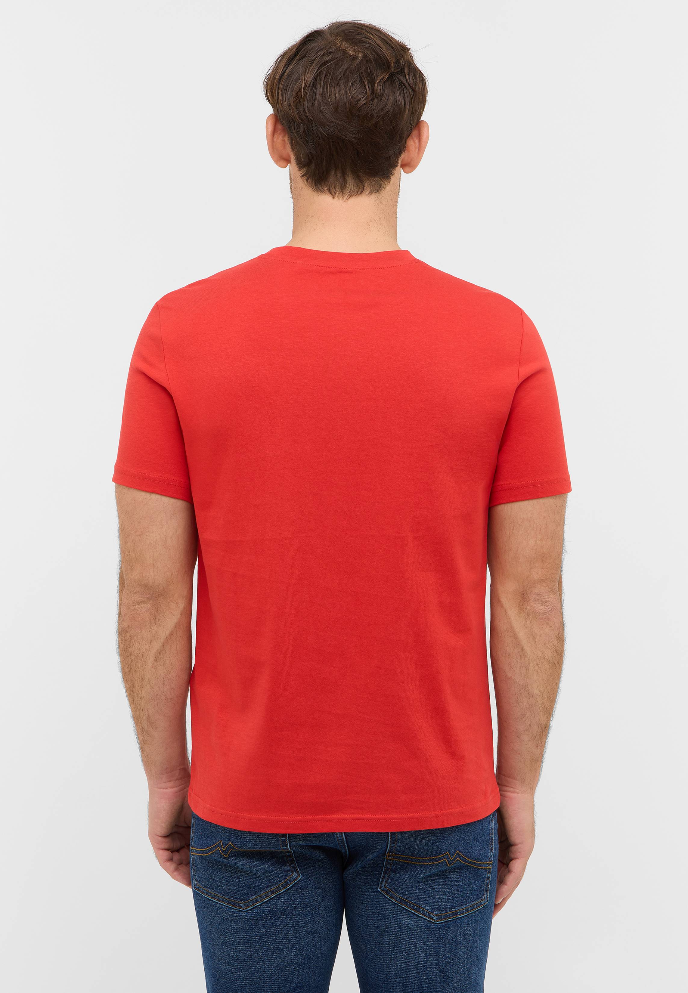 T-shirt, Erwachsener, Männlich, Mann, Person