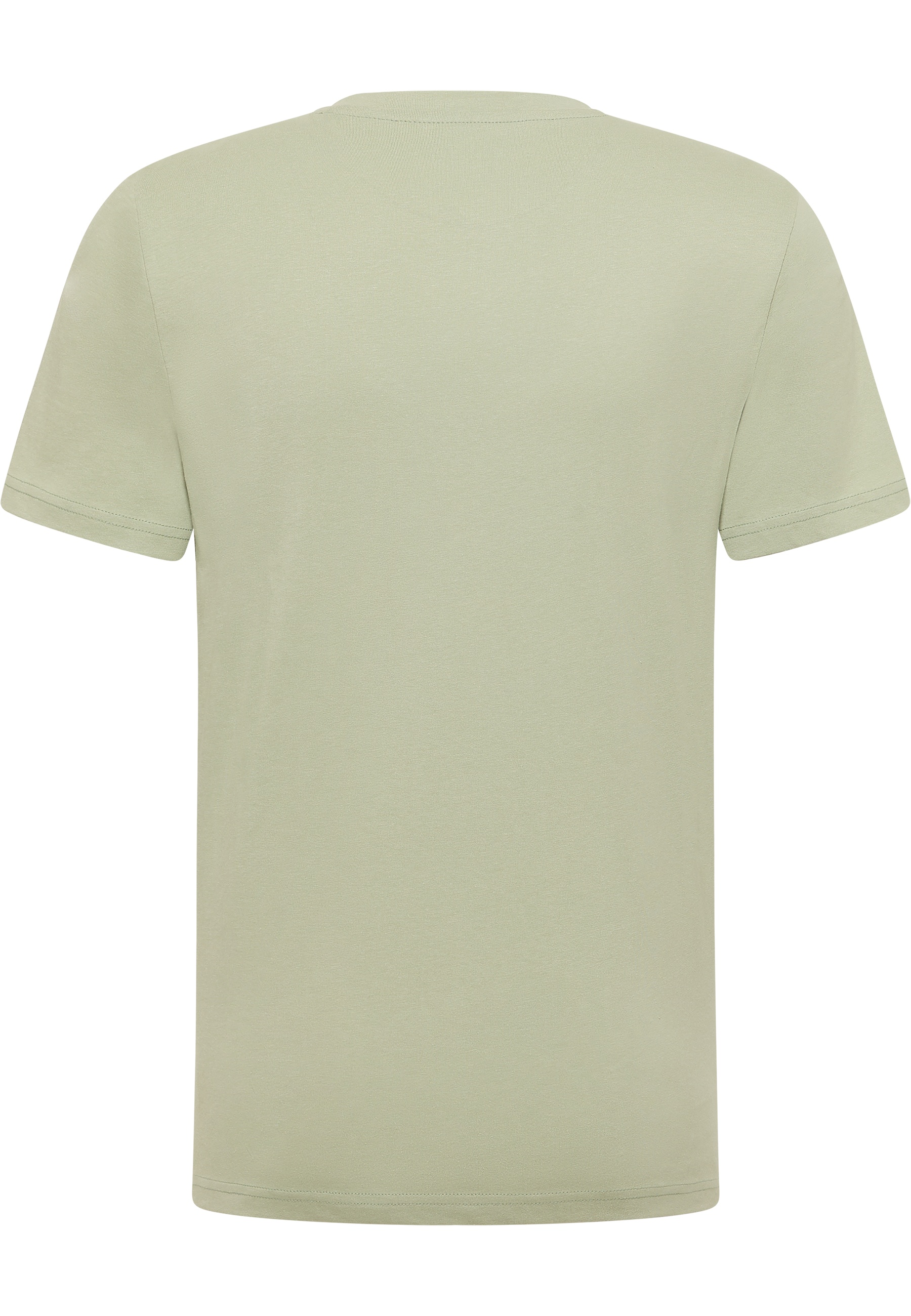 T-Shirt, Kurzarm, Rundhalsausschnitt, Unifarben, Lichtgrün