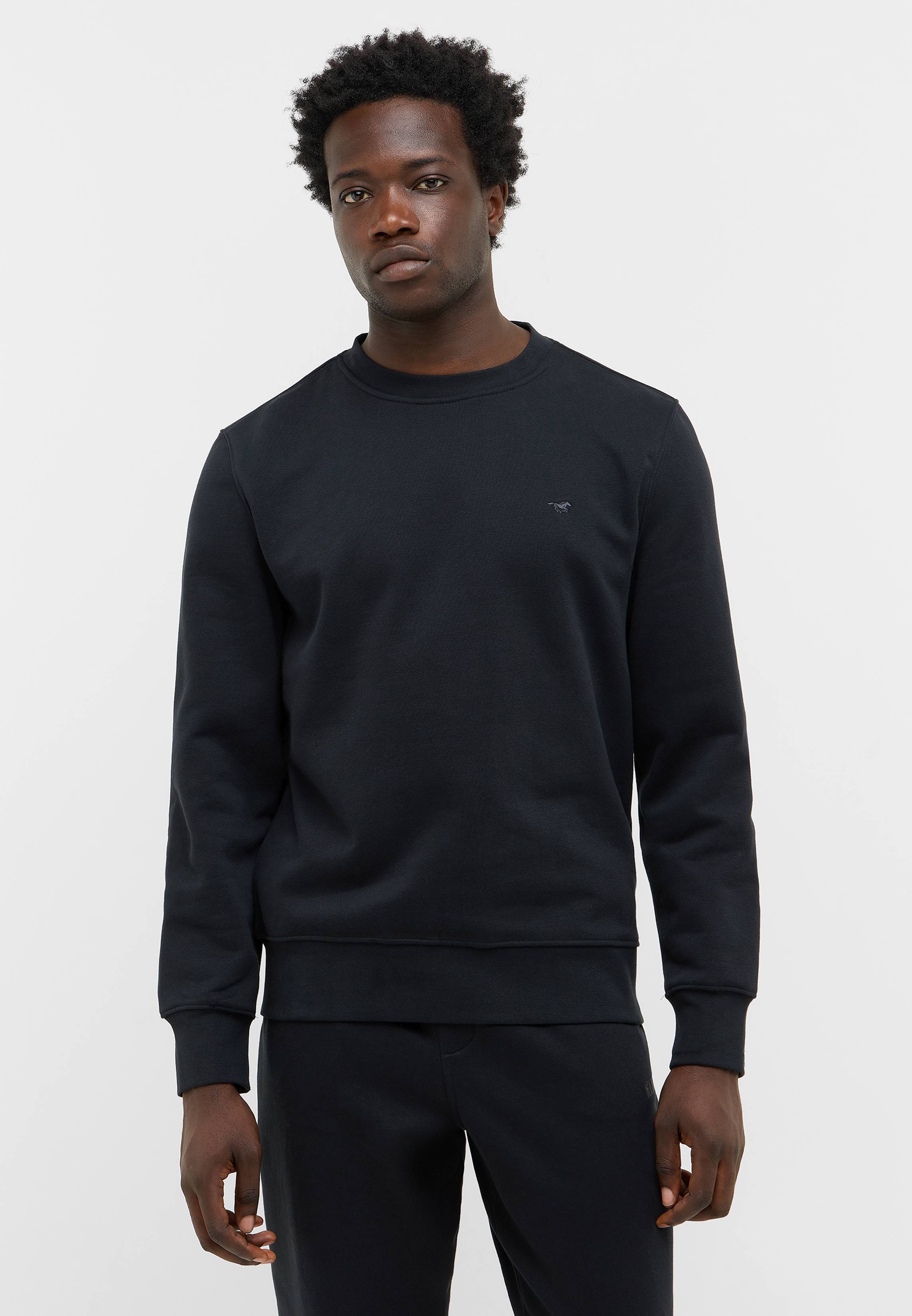 Pulli, Sweatshirt, Langarm, Mann, Person