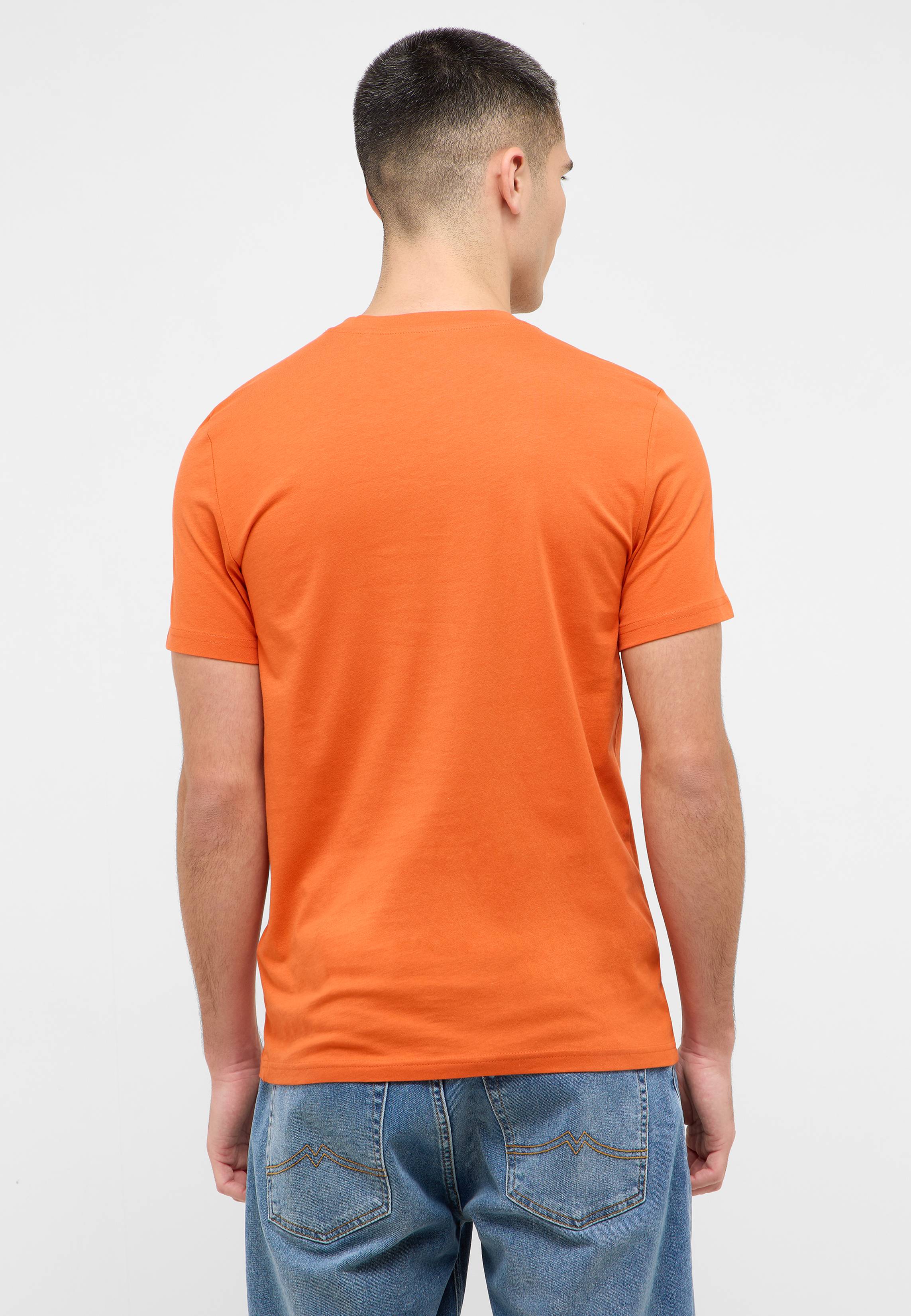 T-shirt, Erwachsener, Männlich, Mann, Person