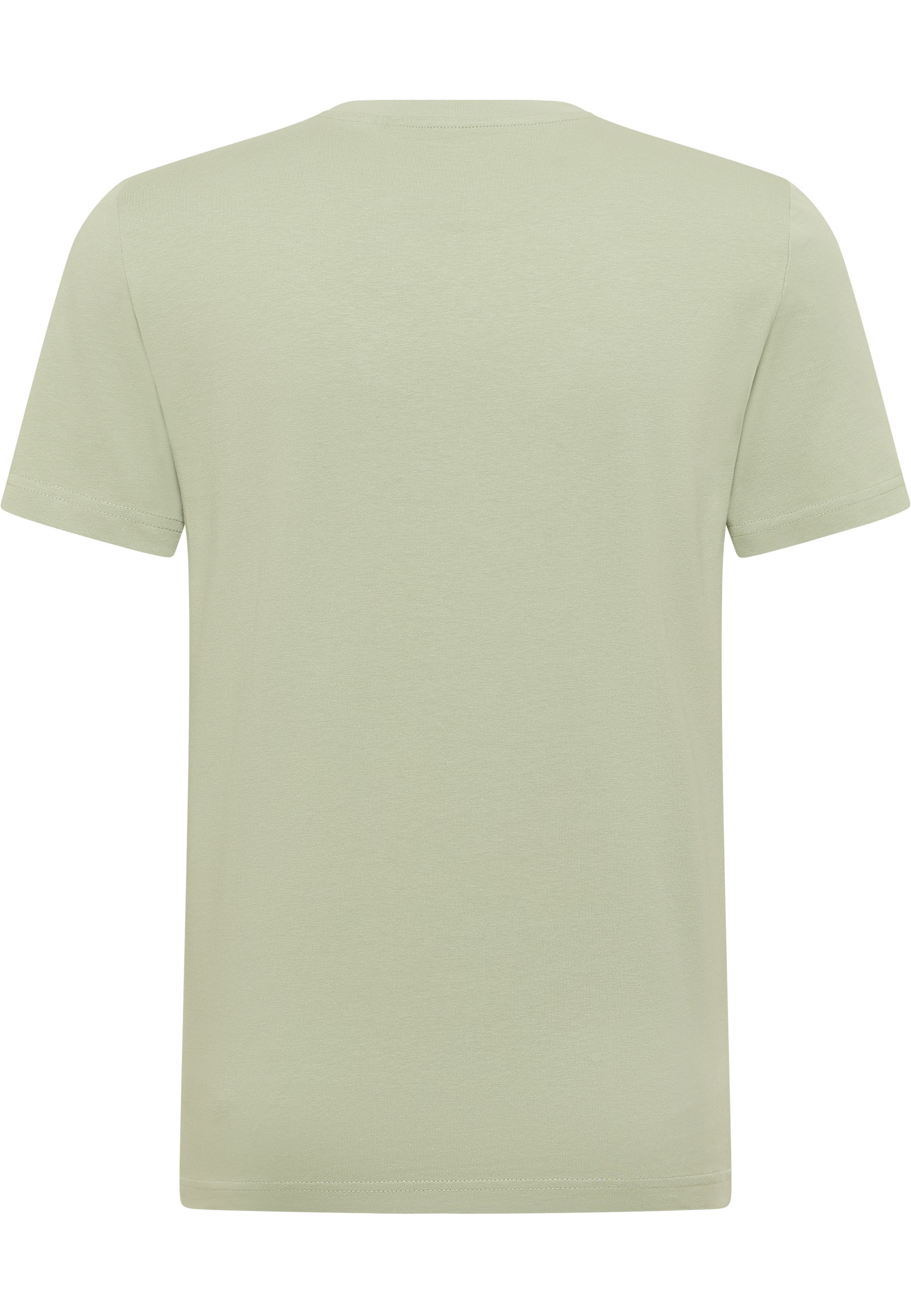 T-Shirt, Kurzarm, Uni-Farbe, Hauptfarbe grün, Baumwolle