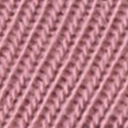 rosa-C4260