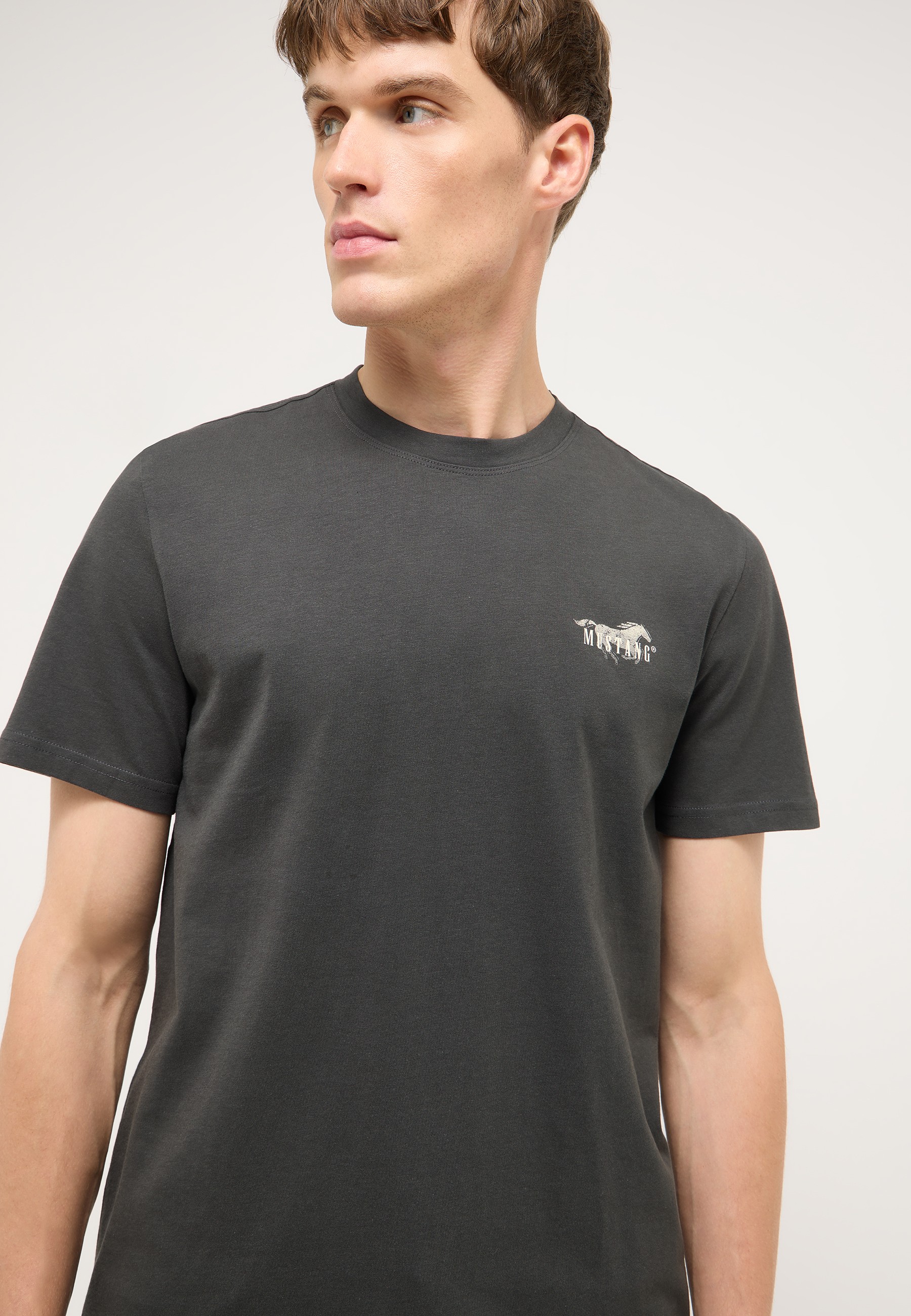 t-shirt, kurzärmlig, runde Ausschnitt, dunkelgrau, basics T-Shirt