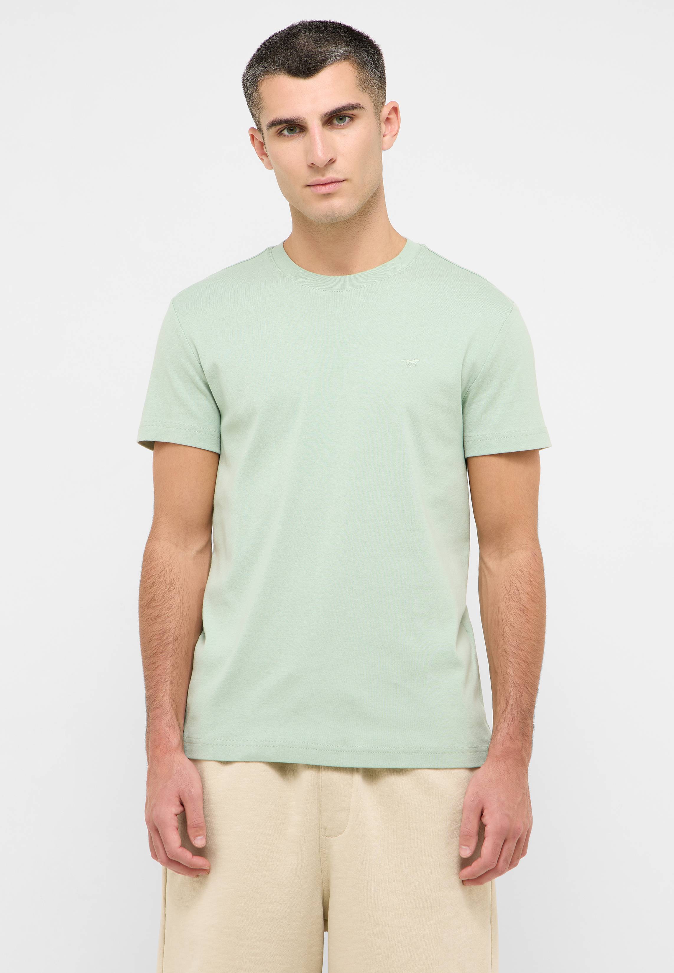 T-shirt, Erwachsener, Männlich, Mann, Person