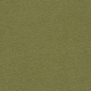 dunkelgrün-6353