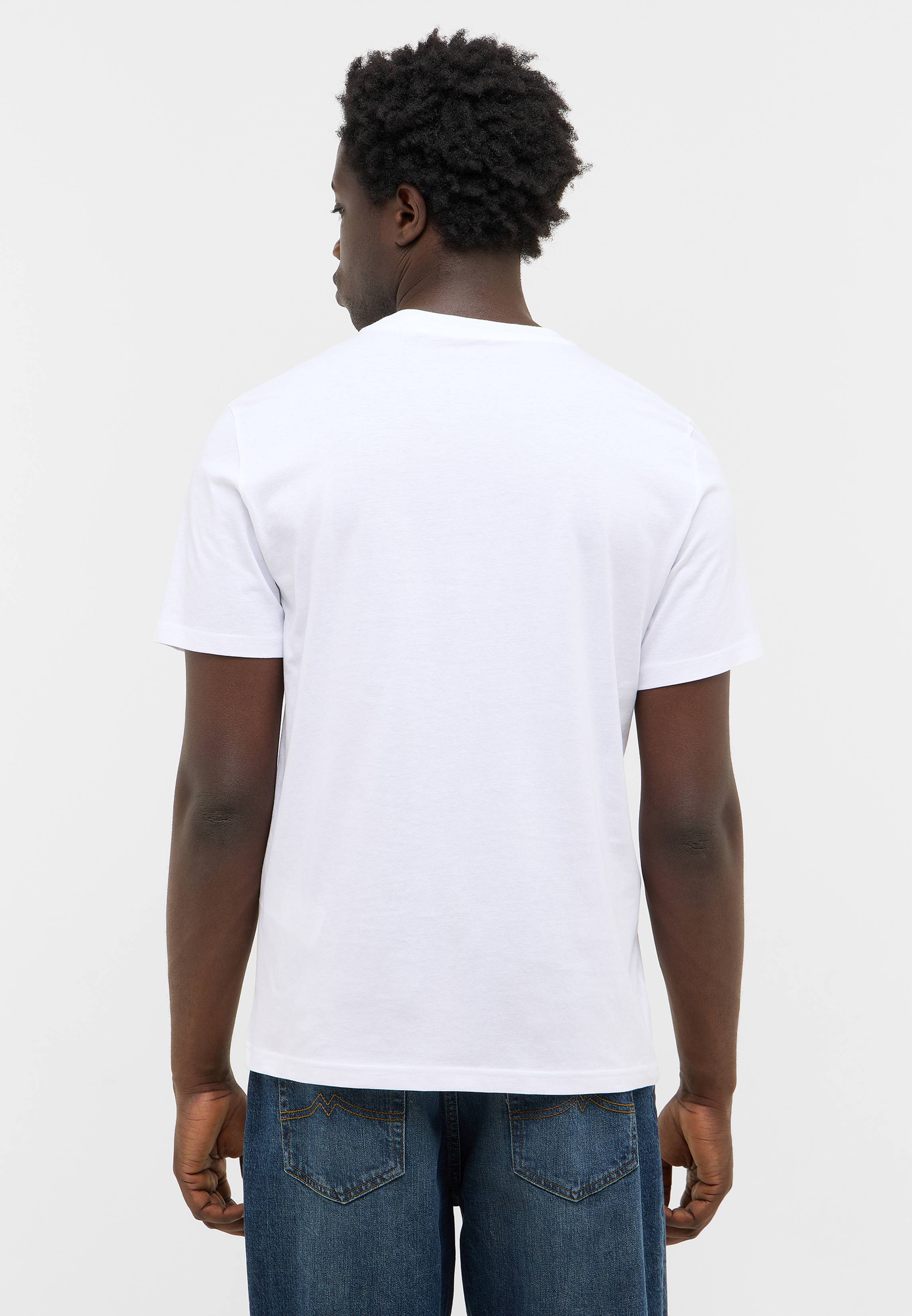 T-shirt, Erwachsener, Männlich, Mann, Person