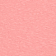 rosa-8143