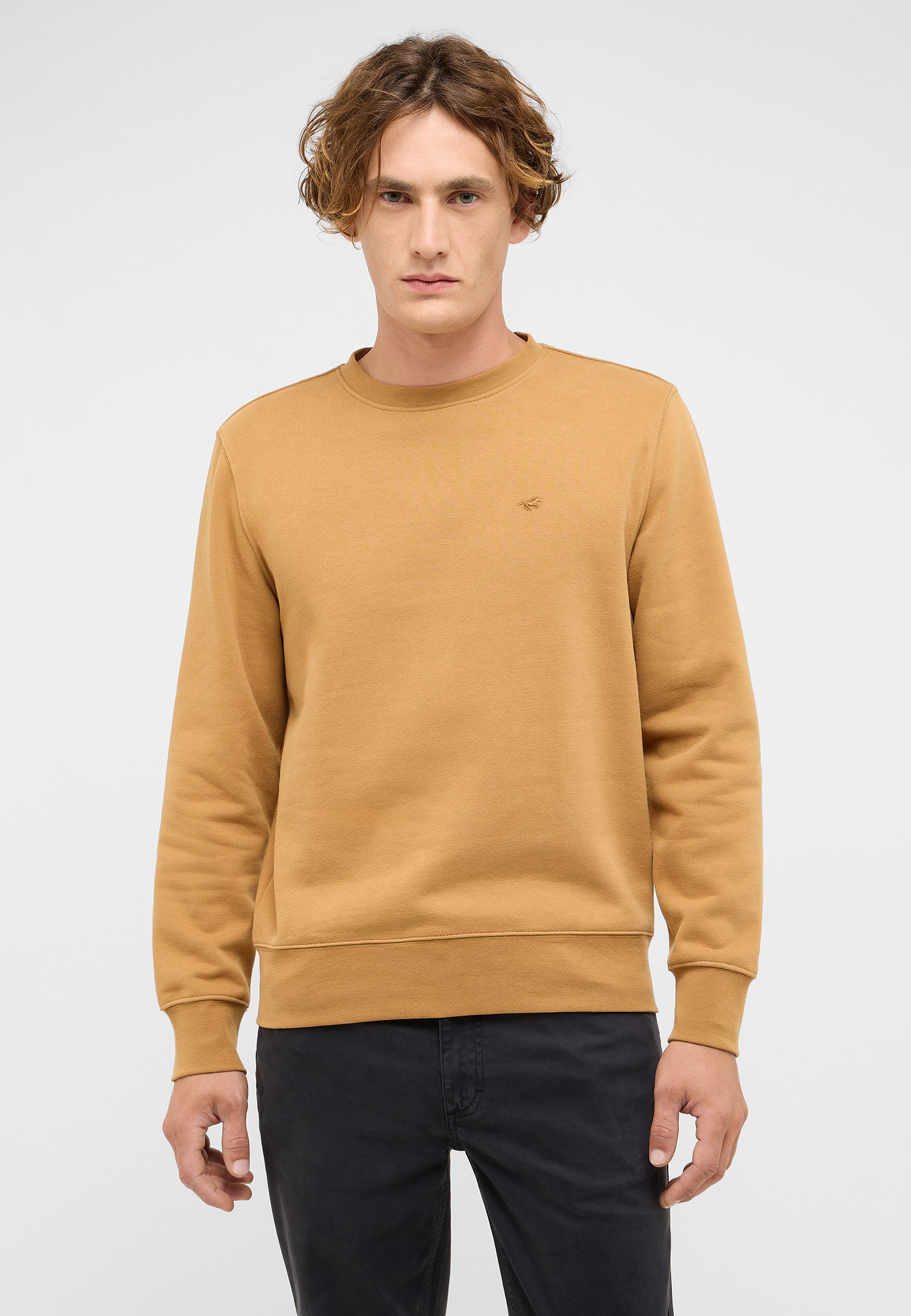 Strickwaren, Pullover, Sweatshirt, Langarm, Person