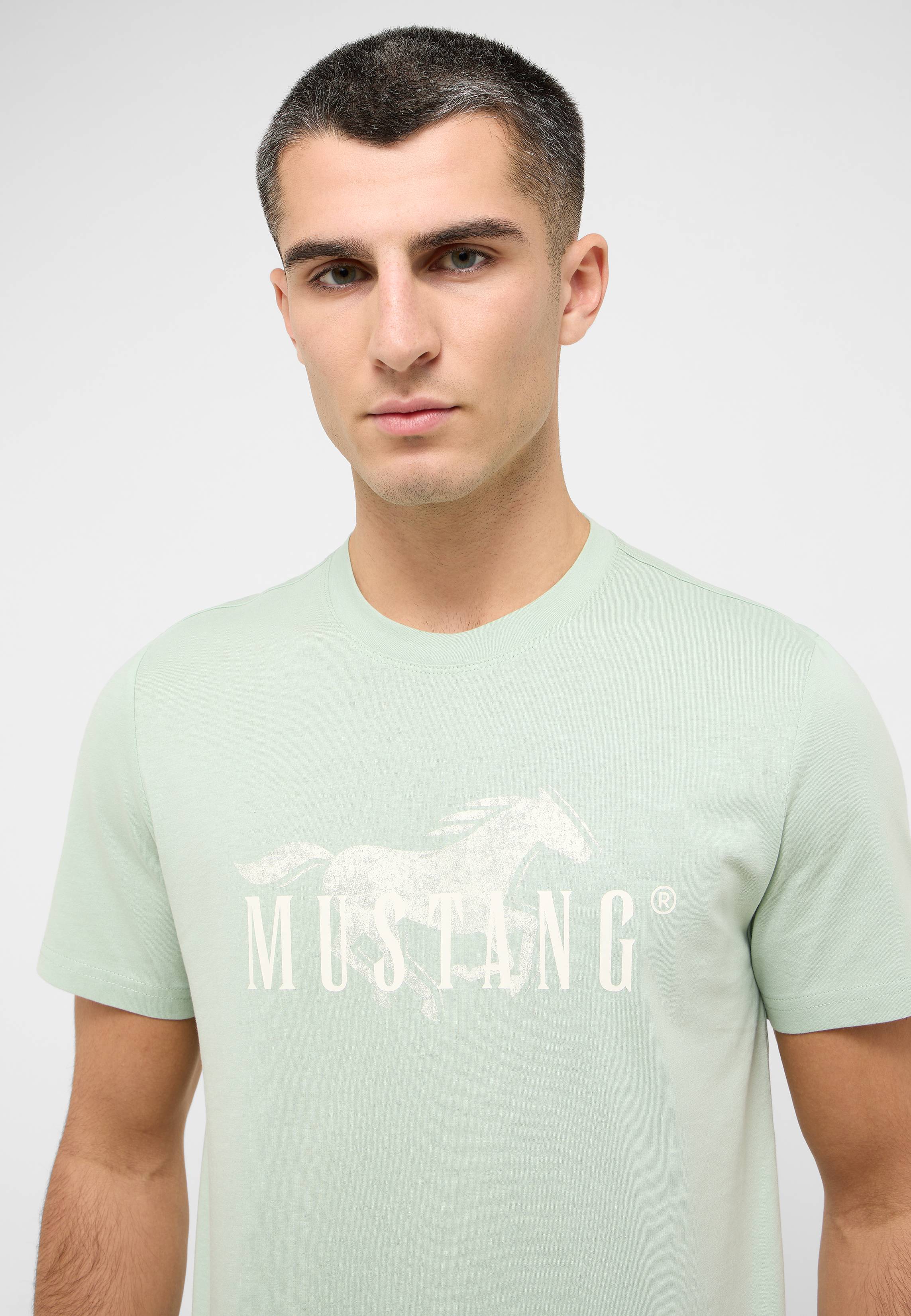 T-shirt, Hemd, Erwachsener, Mann, Person