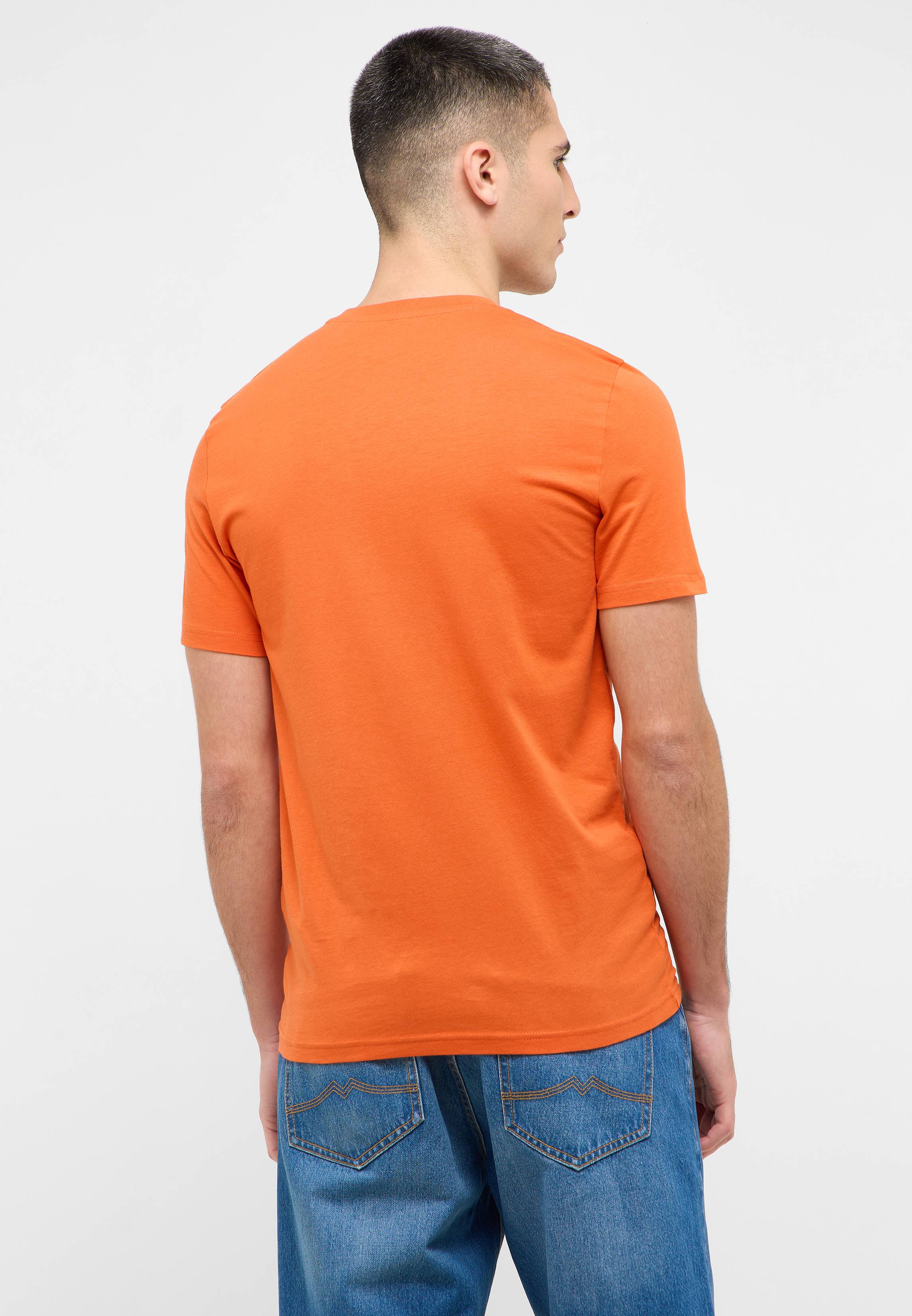 T-shirt, Erwachsener, Männlich, Mann, Person