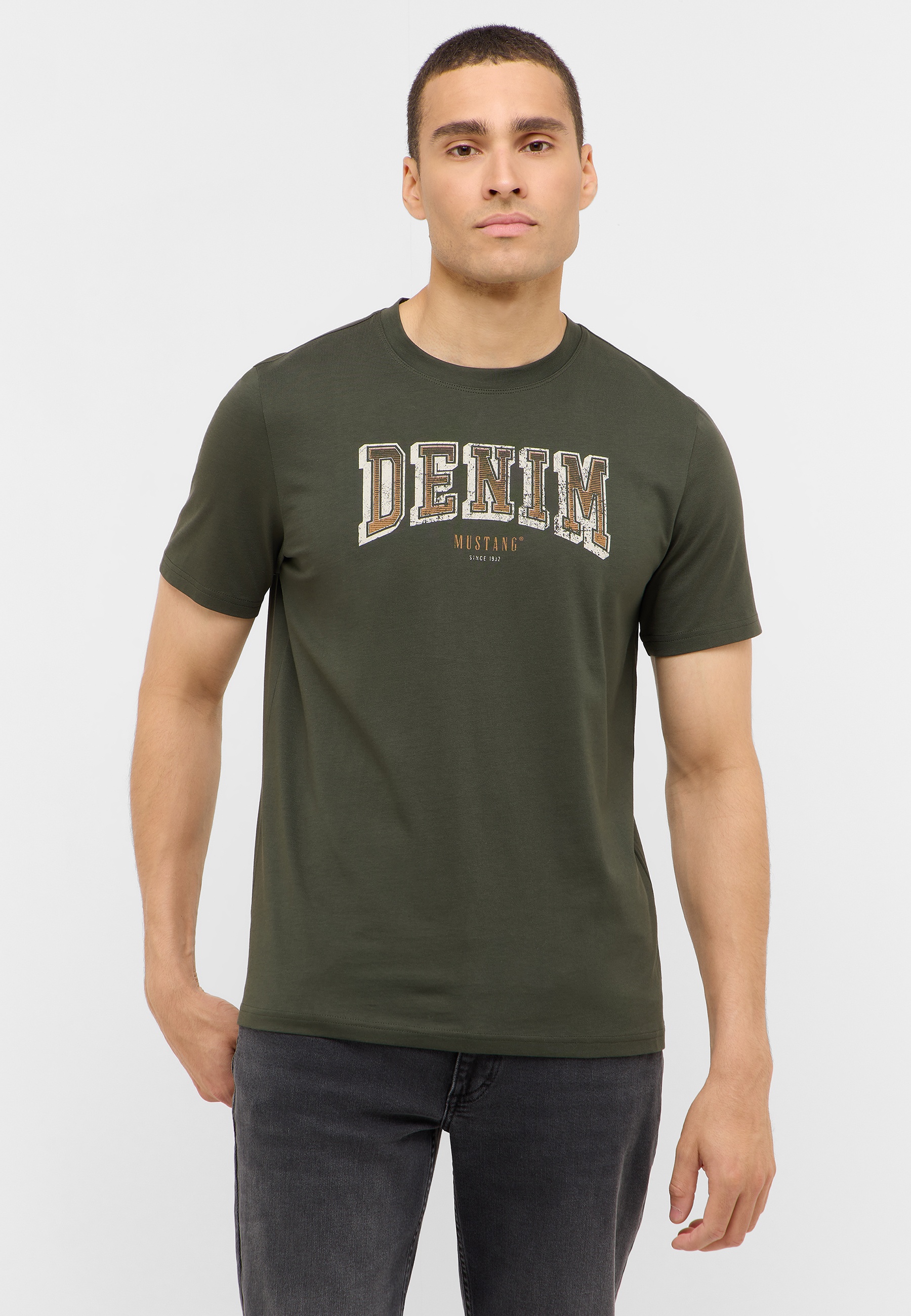 T-shirt, Hemd, Erwachsener, Mann, Person