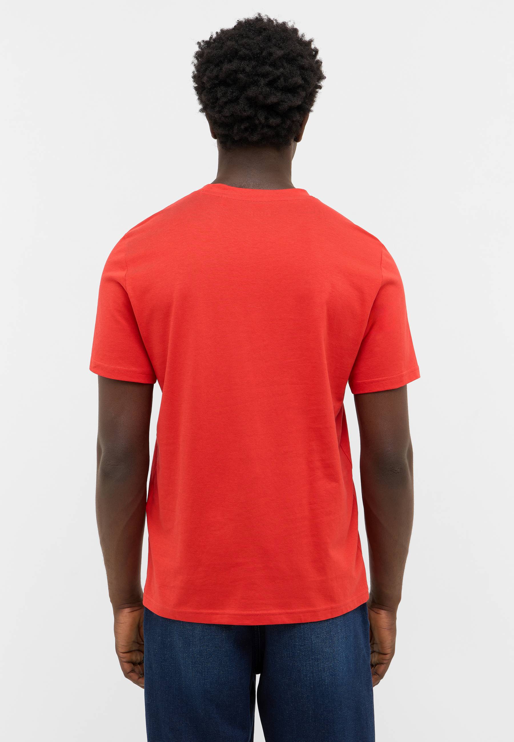 T-shirt, Erwachsener, Männlich, Mann, Person