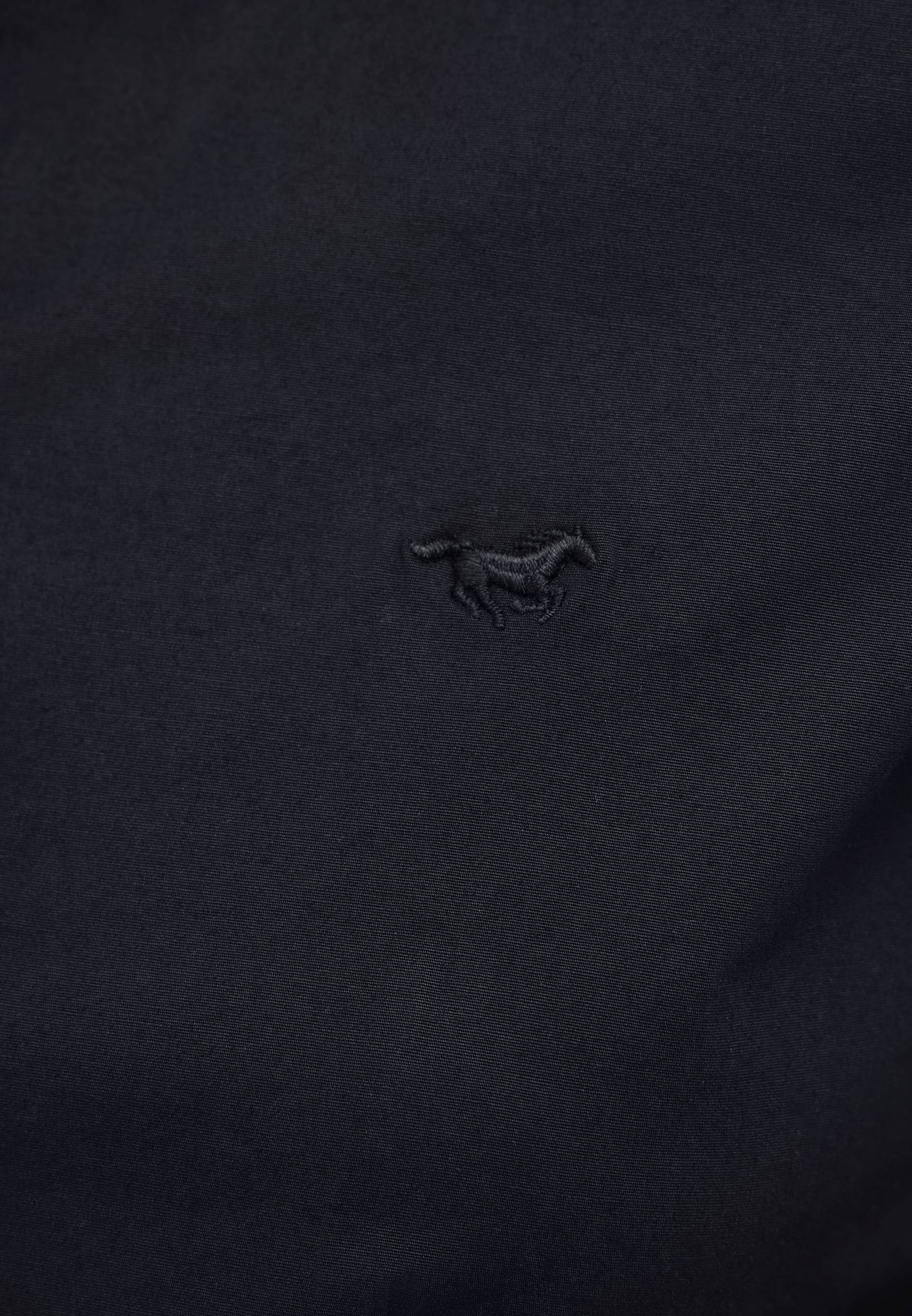 Schwarz, Tier, Säugetier, Tierwelt, Zebra