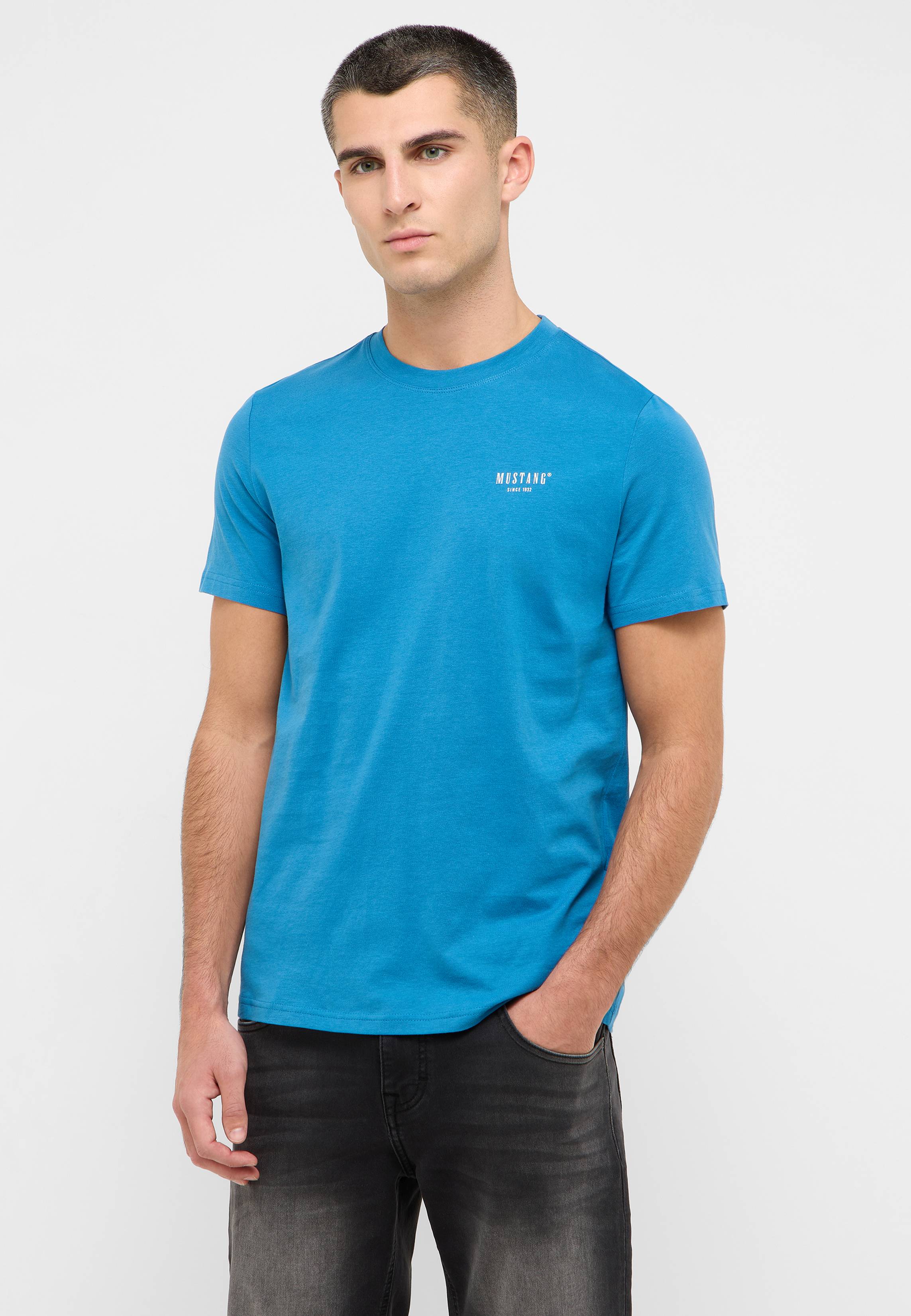 T-shirt, Erwachsener, Männlich, Mann, Person