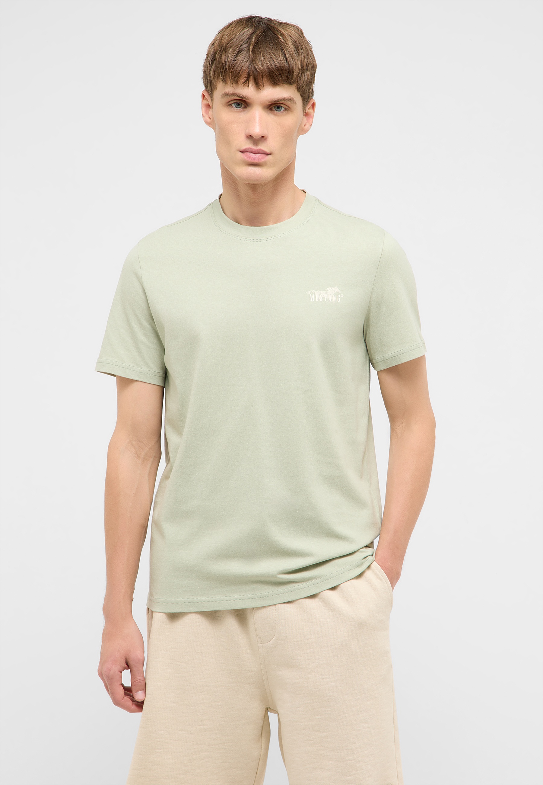 T-Shirt, Kurzarm-Shirt, Rundhals, Unifarben, Pastellgrün