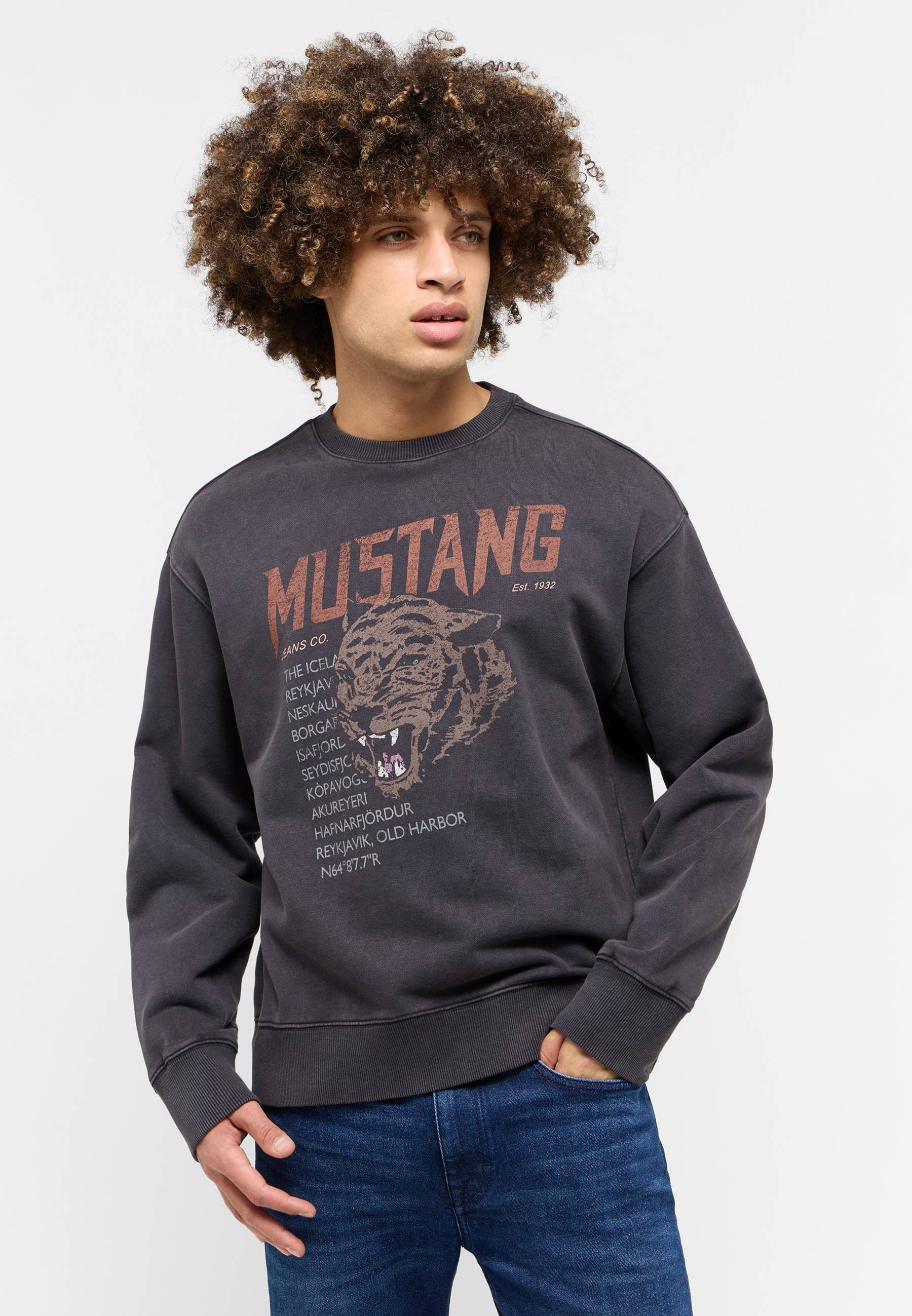 Sweatshirt Style Auburn
