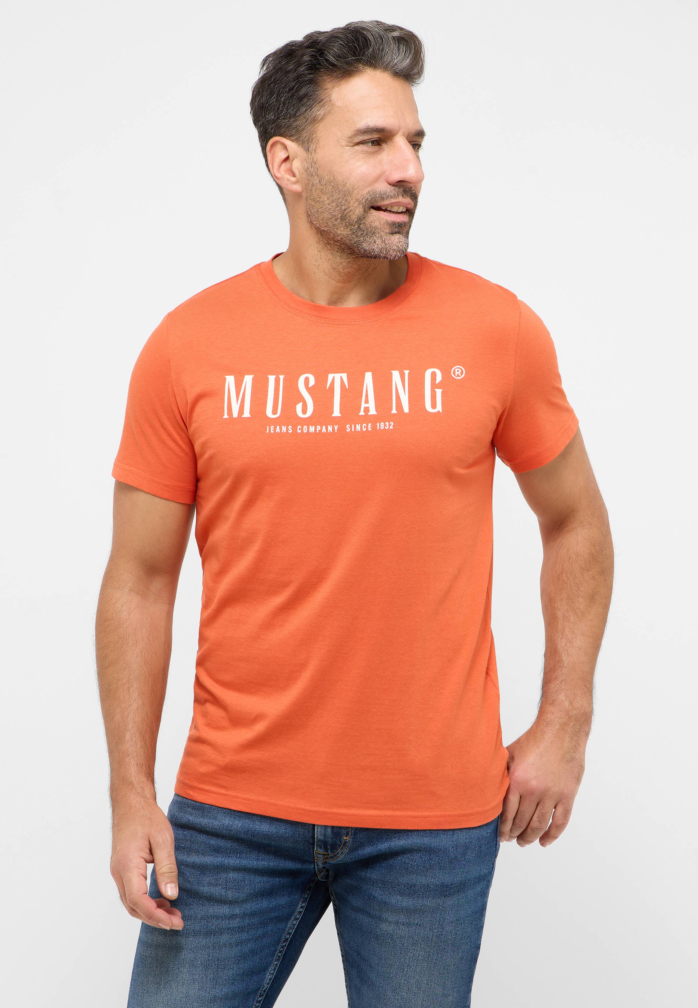 T-shirt, Erwachsener, Männlich, Mann, Person
