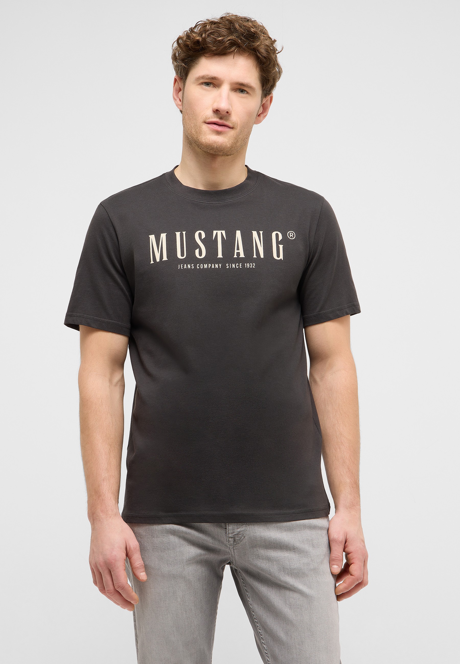 t-shirt, kurzarmshirt, rundhalsausschnitt, grafikshirt, dunkelgrau