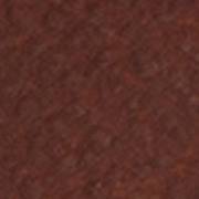 cognac-TL31