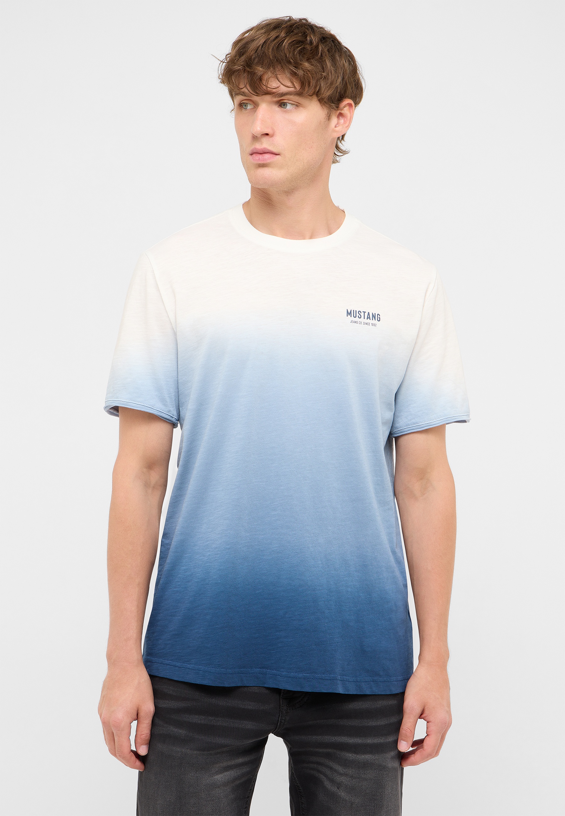Tee, T-Shirt, Gradient, Dunkelblau, Mustang