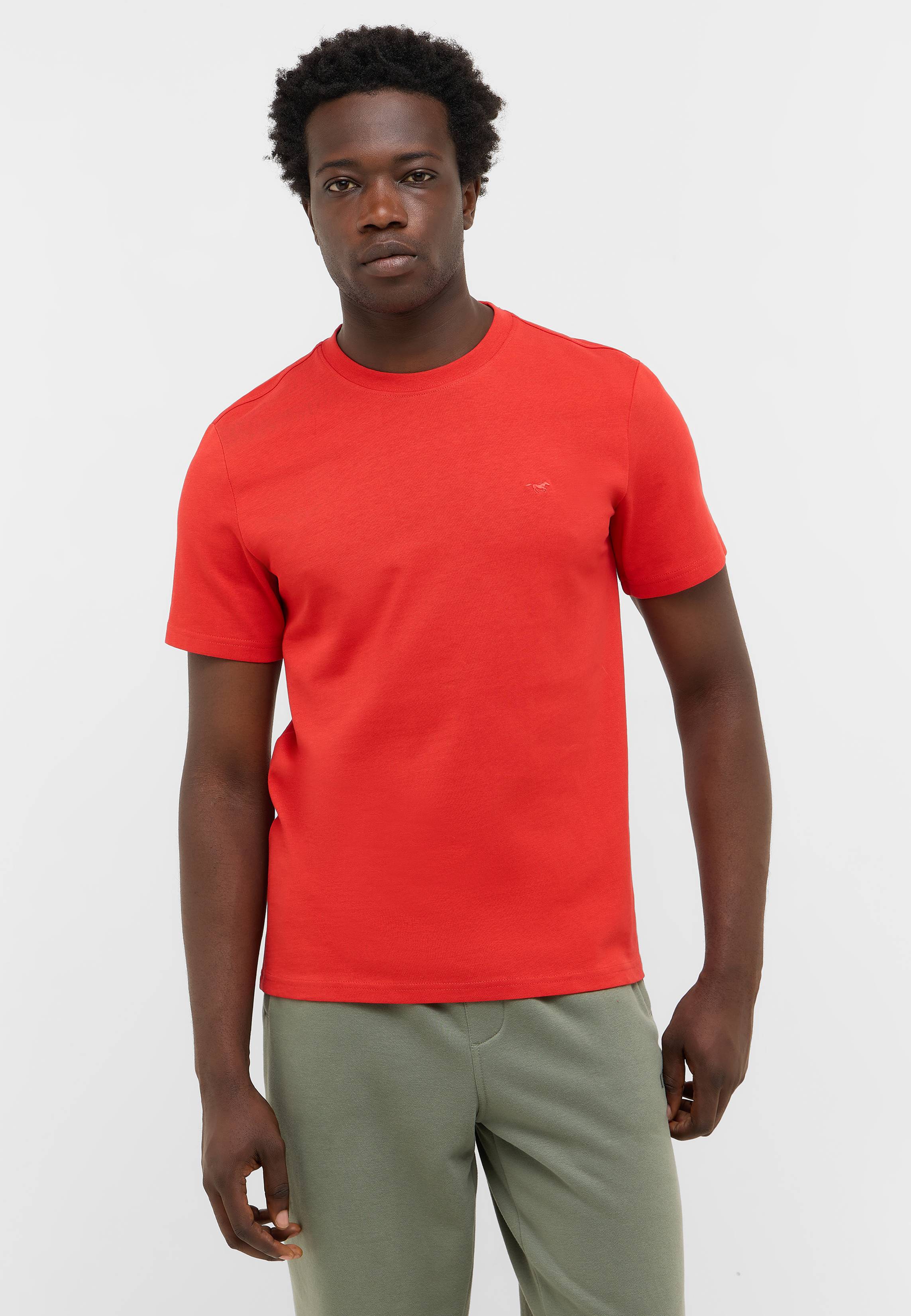 T-shirt, Hemd, Erwachsener, Mann, Person