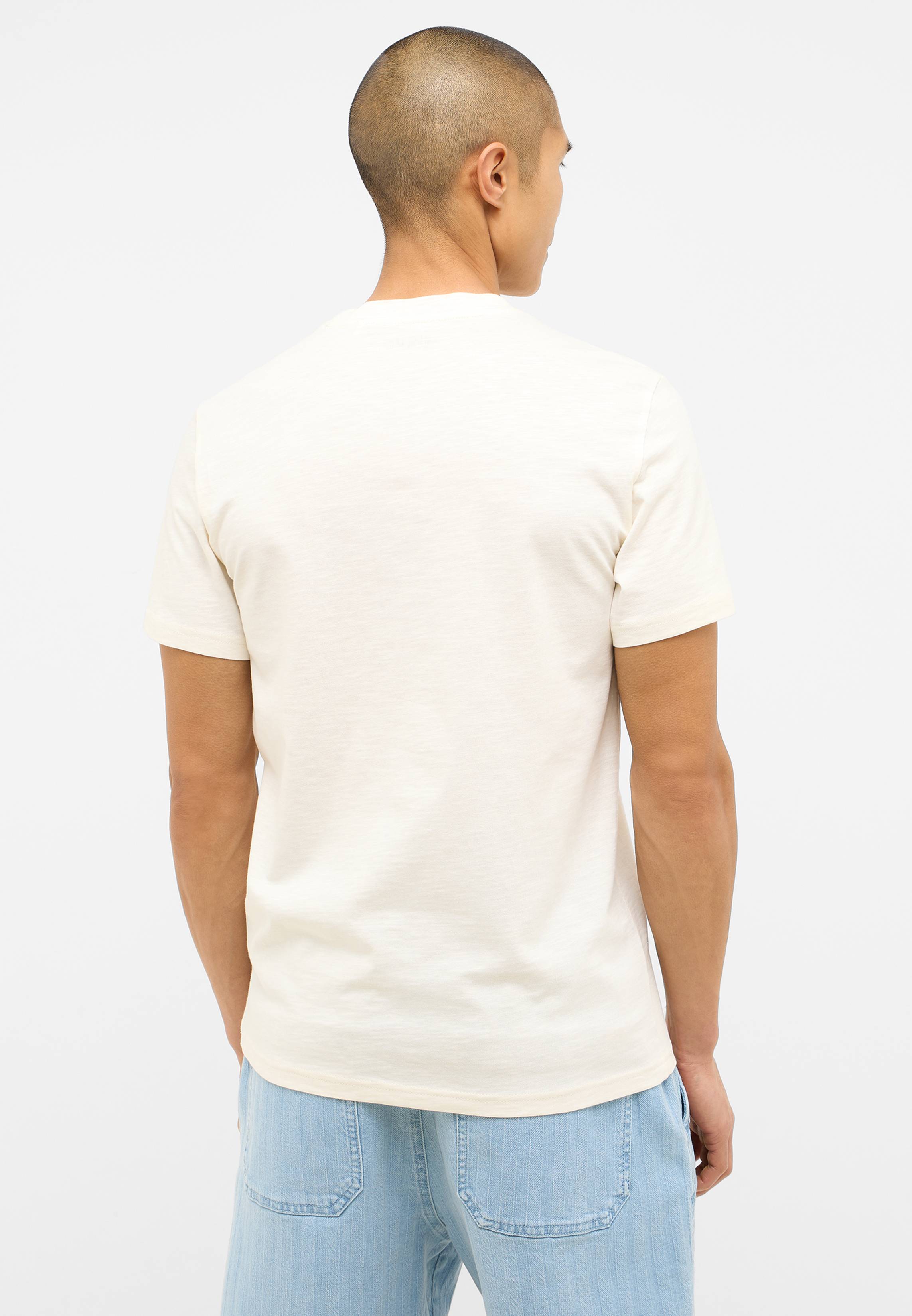 T-shirt, Erwachsener, Männlich, Mann, Person