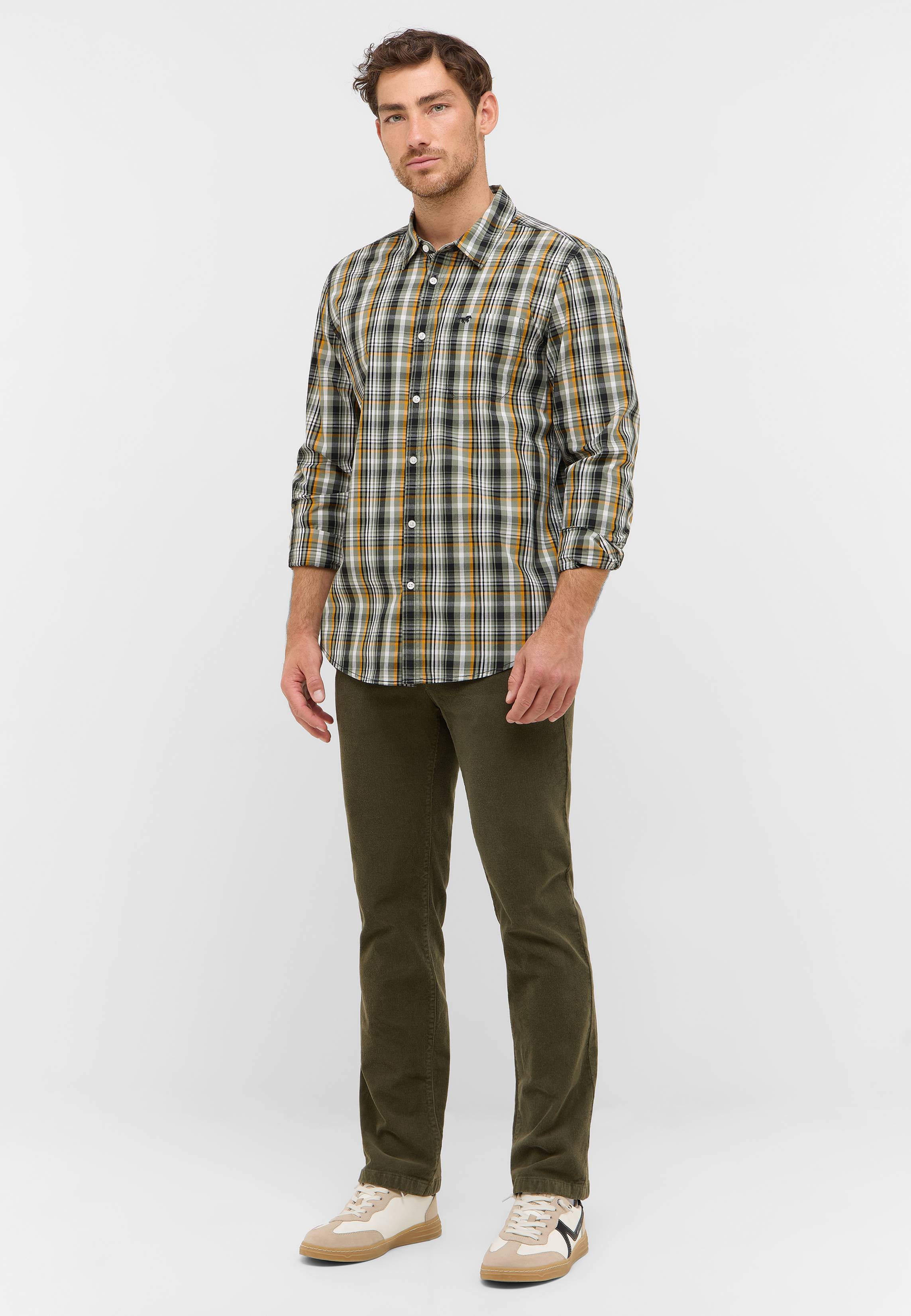 Hemd, Erwachsener, Männlich, Mann, Person